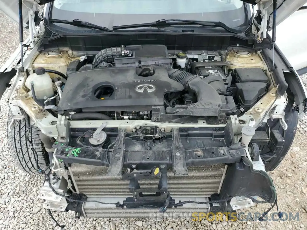 12 Photograph of a damaged car 3PCAJ5M32KF100933 INFINITI QX50 2019