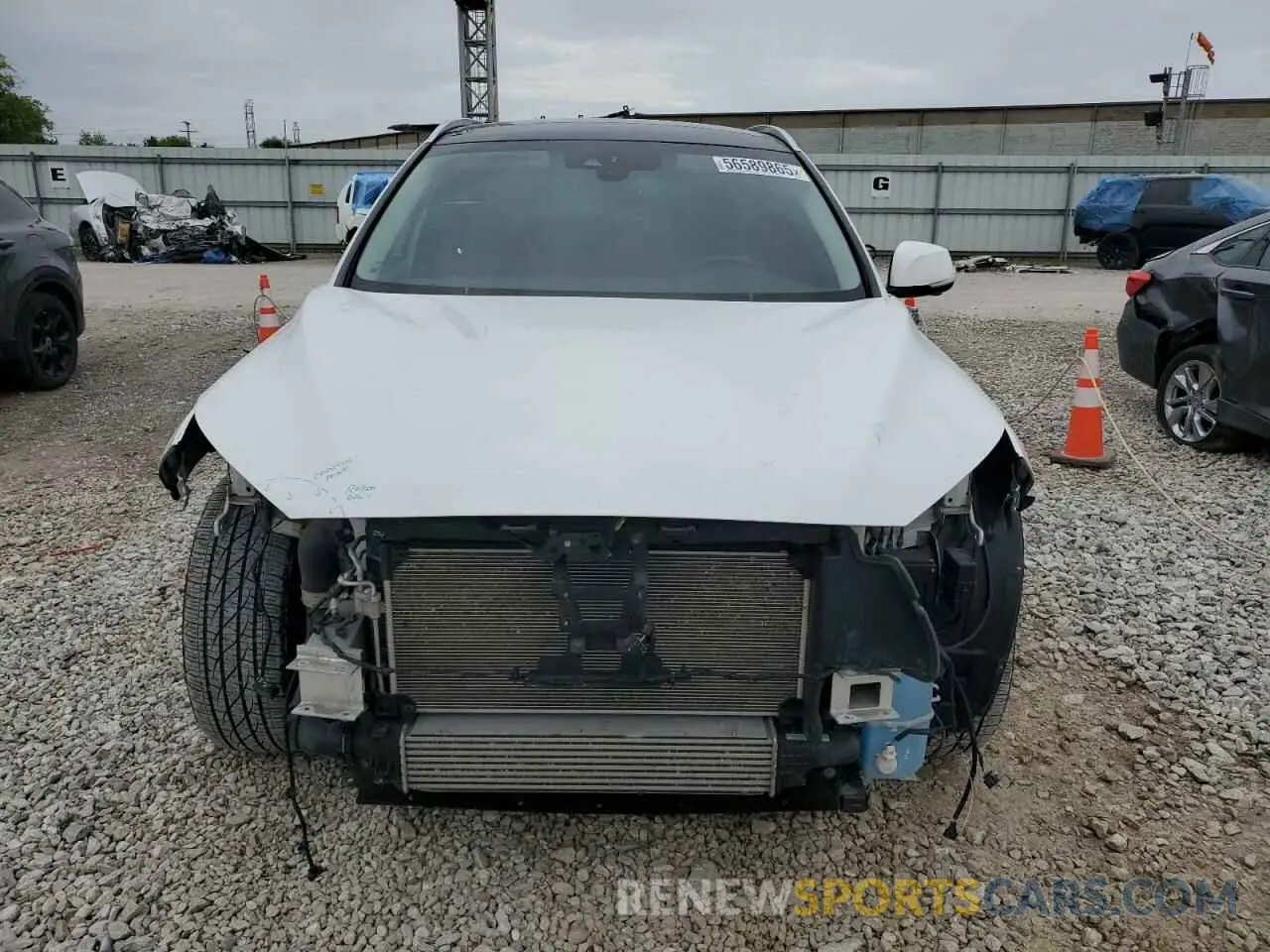 5 Photograph of a damaged car 3PCAJ5M32KF100933 INFINITI QX50 2019