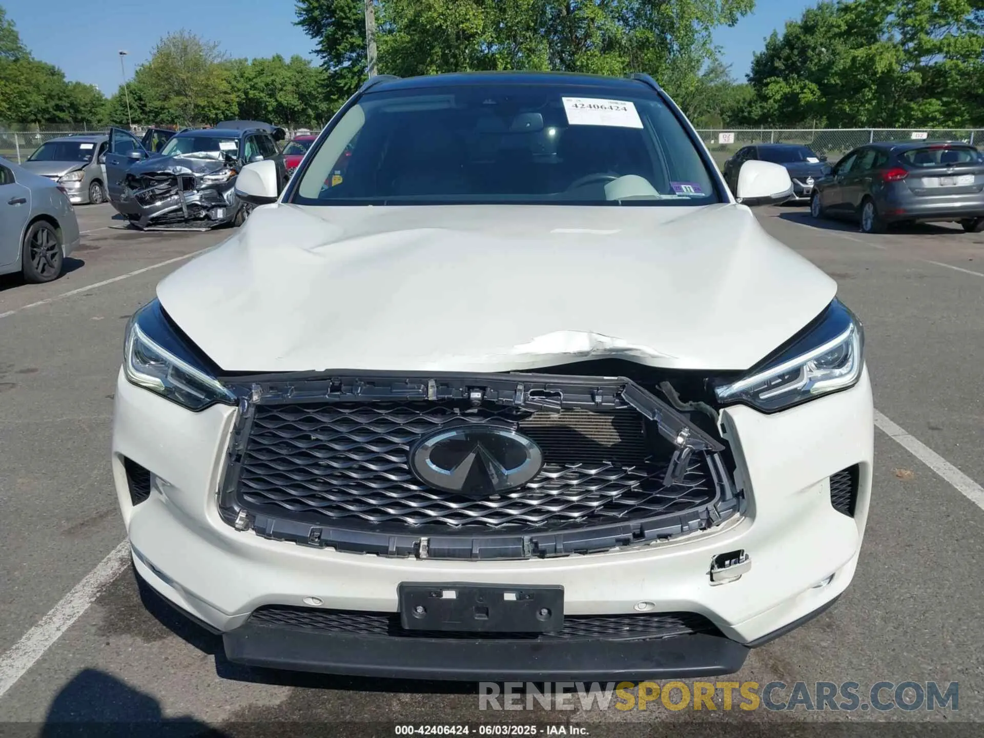 12 Photograph of a damaged car 3PCAJ5M32KF119272 INFINITI QX50 2019
