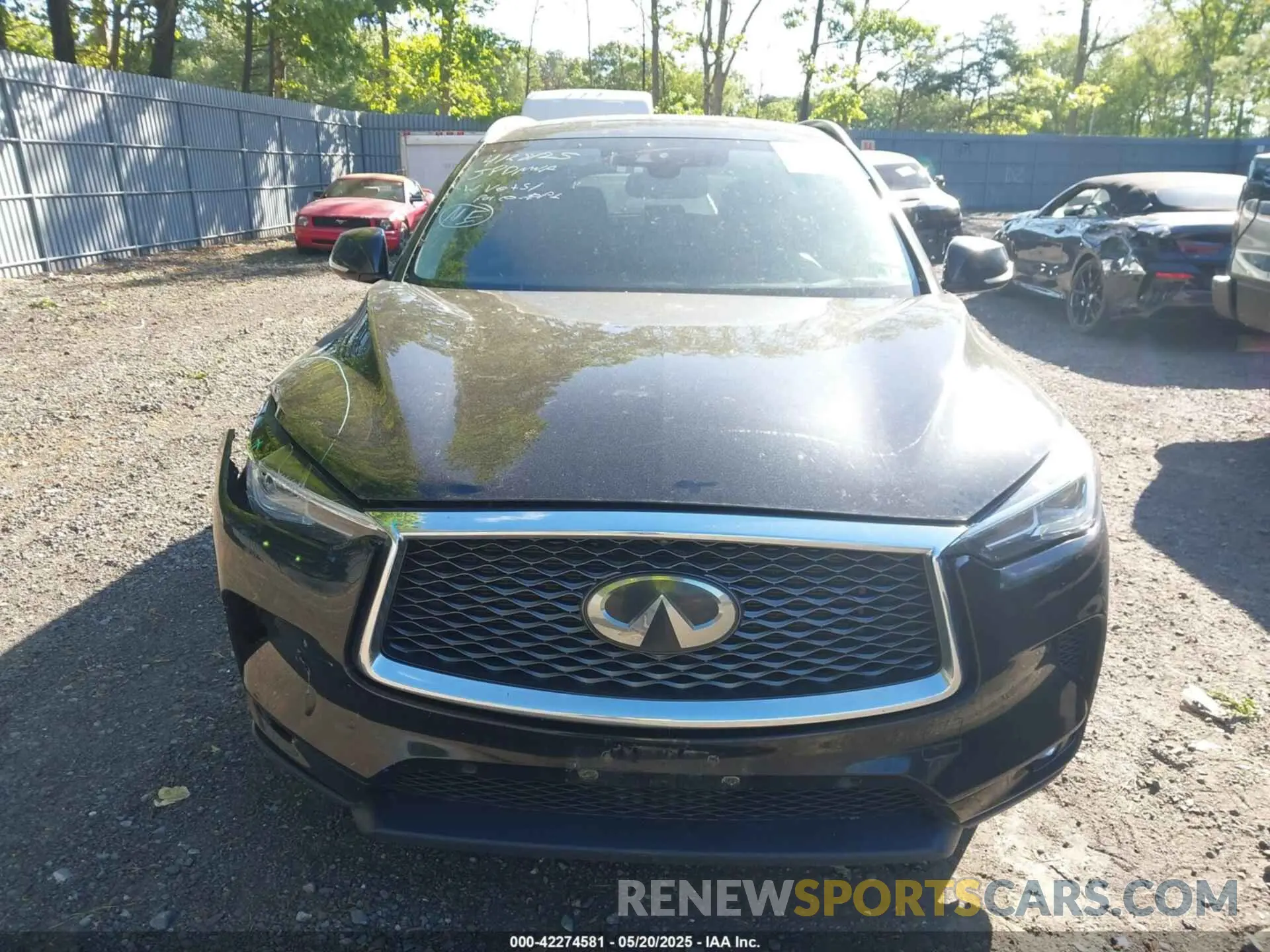 12 Photograph of a damaged car 3PCAJ5M32KF123757 INFINITI QX50 2019