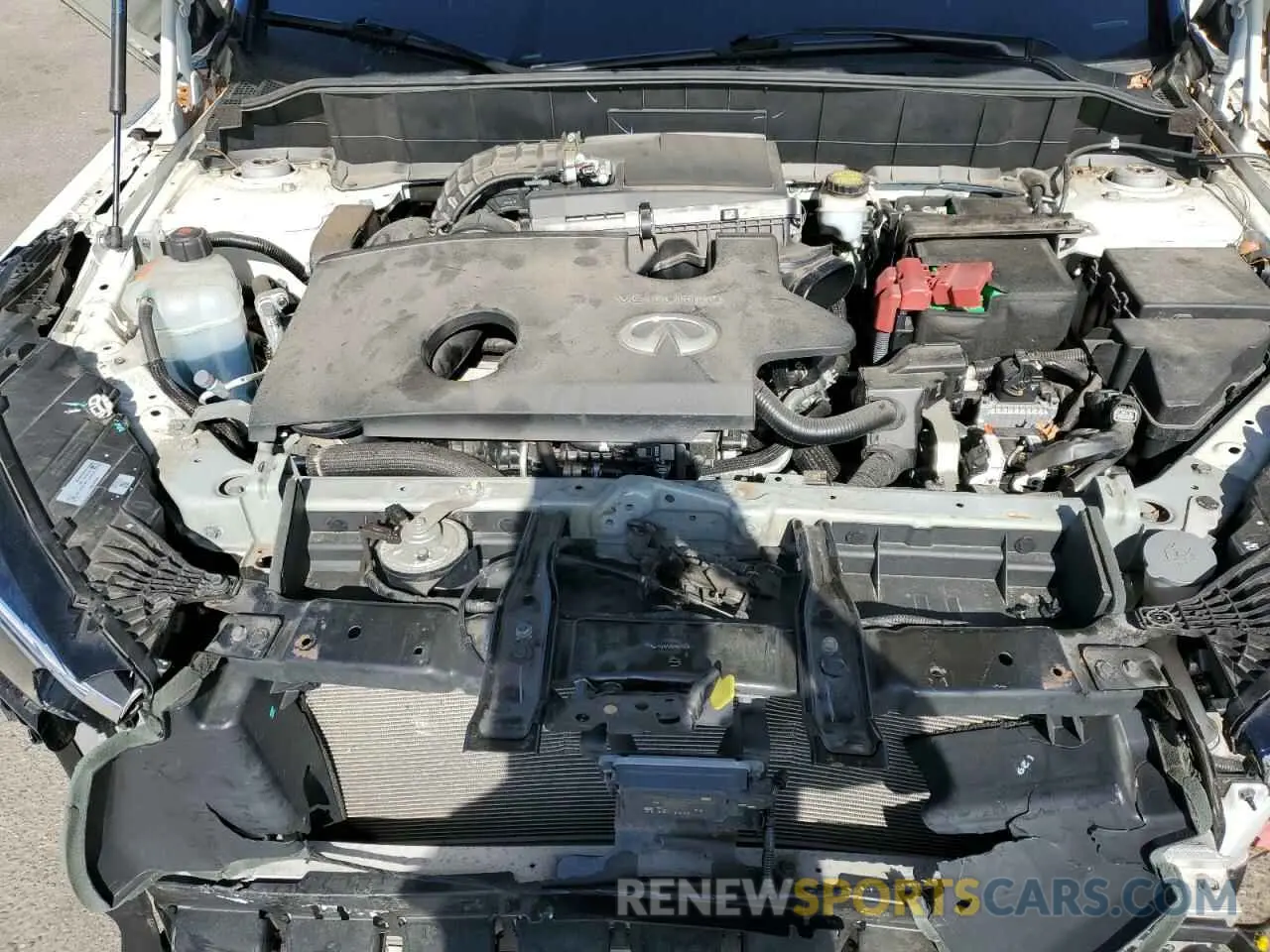 12 Photograph of a damaged car 3PCAJ5M32KF126917 INFINITI QX50 2019