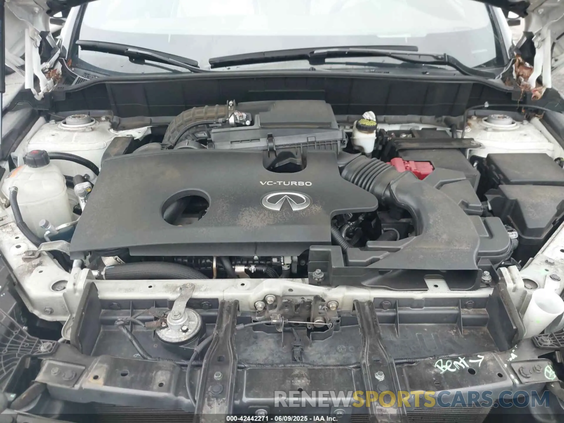 10 Photograph of a damaged car 3PCAJ5M33KF104361 INFINITI QX50 2019