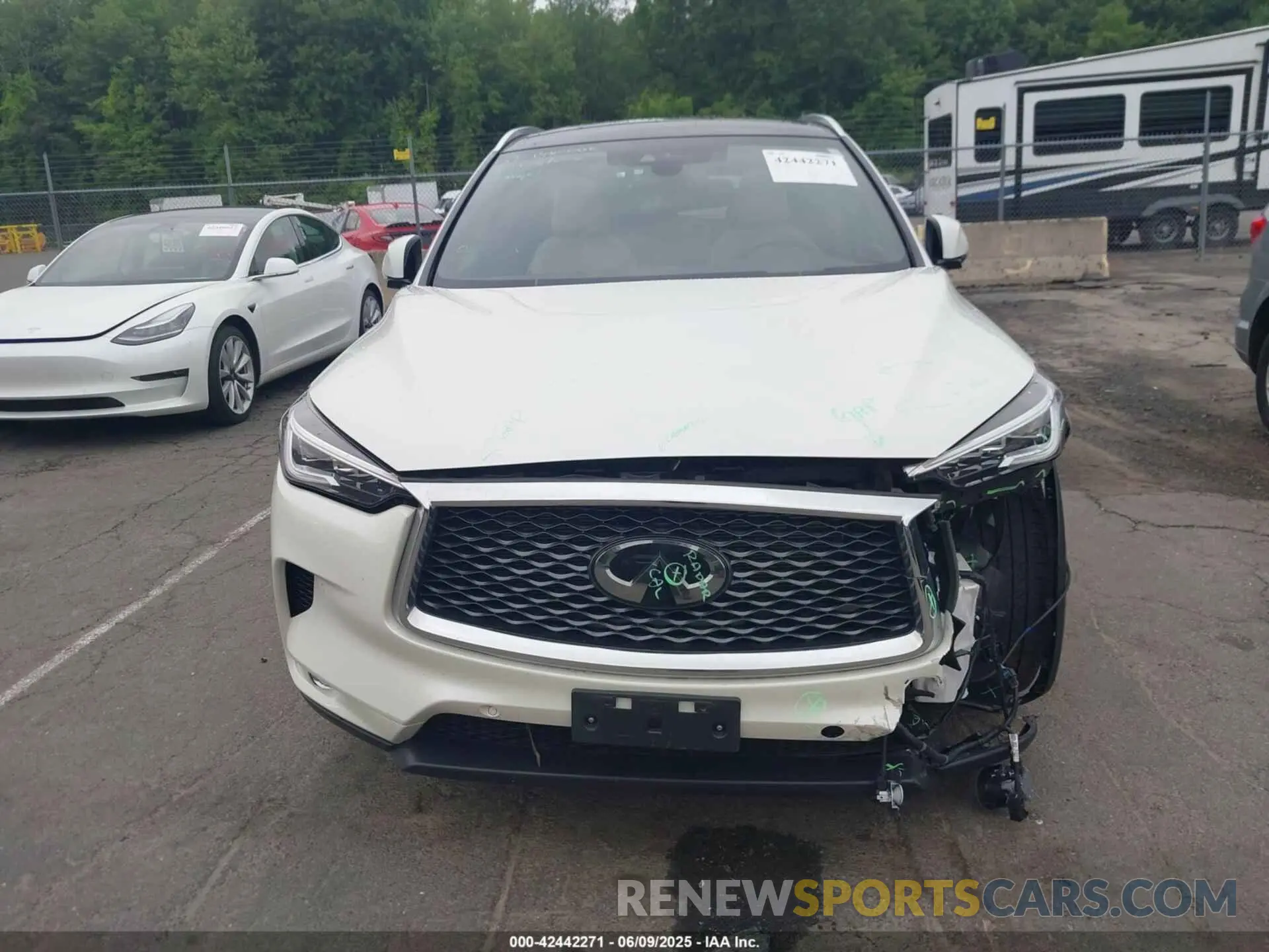 12 Photograph of a damaged car 3PCAJ5M33KF104361 INFINITI QX50 2019