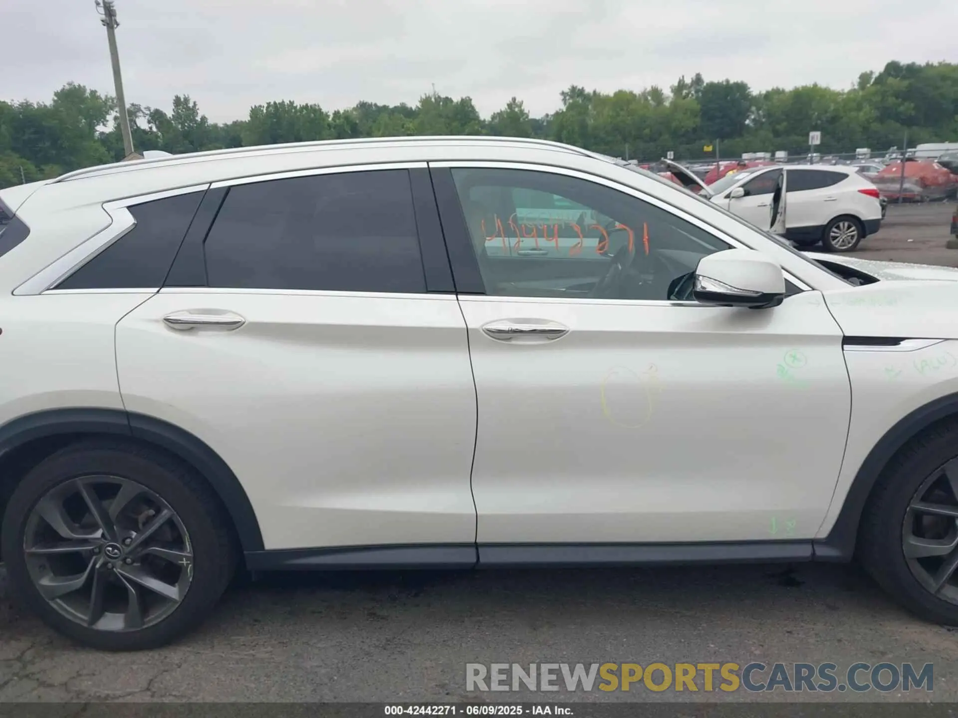 13 Photograph of a damaged car 3PCAJ5M33KF104361 INFINITI QX50 2019