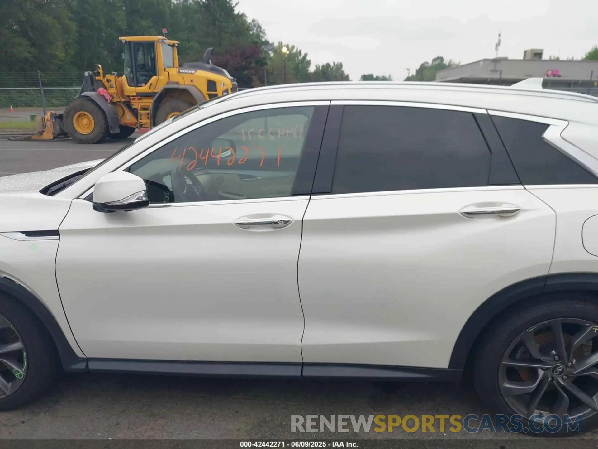 14 Photograph of a damaged car 3PCAJ5M33KF104361 INFINITI QX50 2019