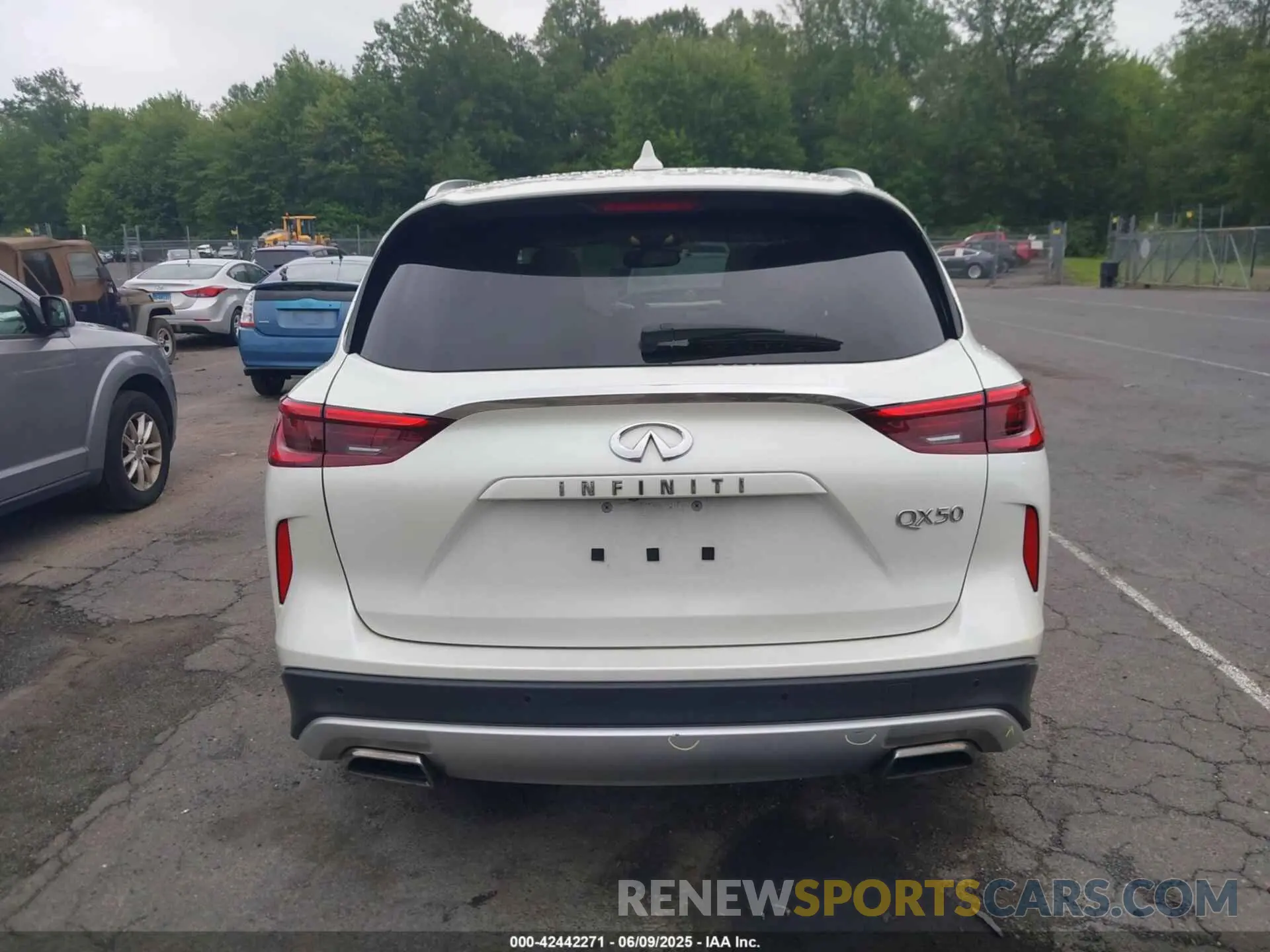 16 Photograph of a damaged car 3PCAJ5M33KF104361 INFINITI QX50 2019