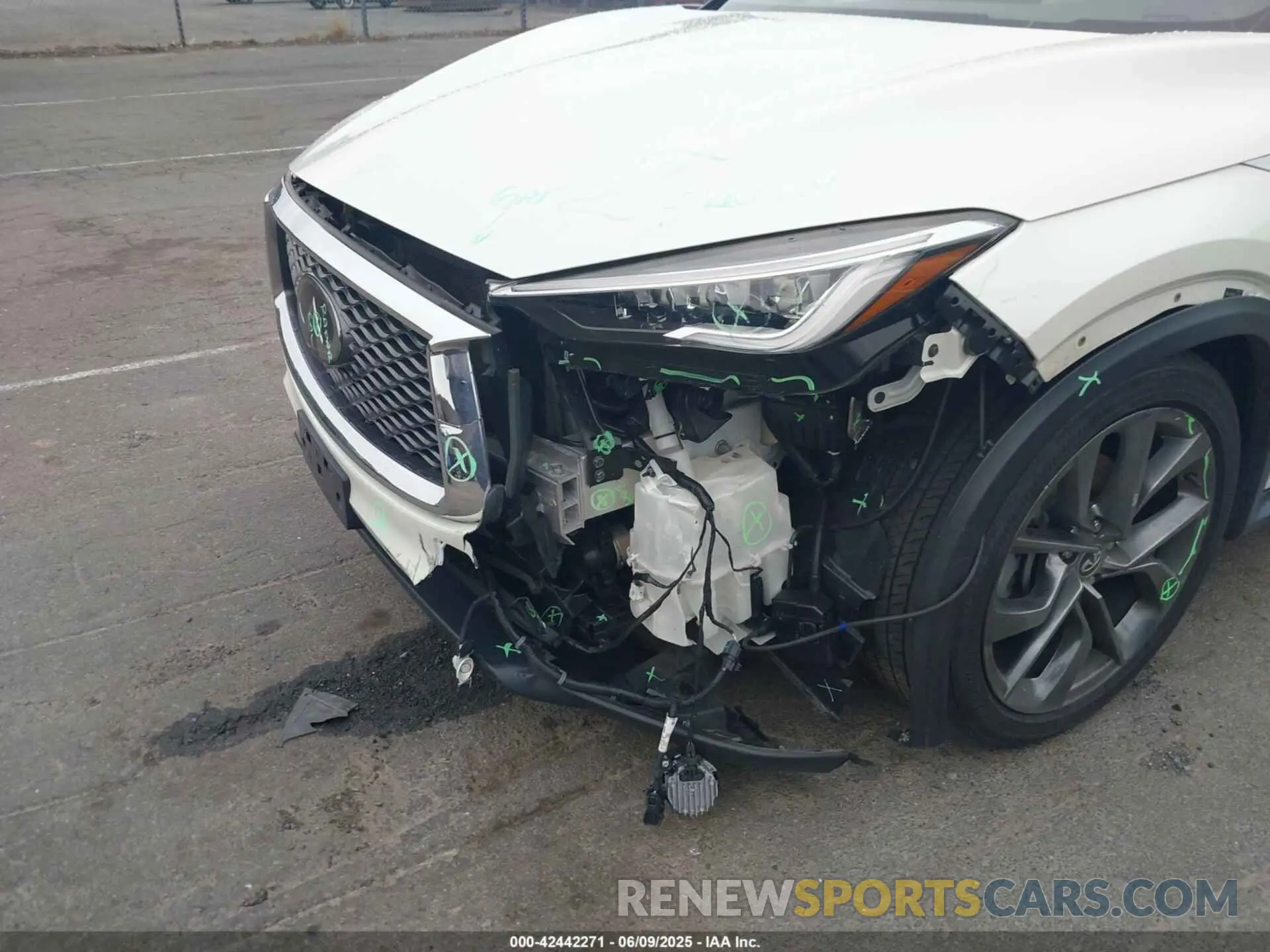 6 Photograph of a damaged car 3PCAJ5M33KF104361 INFINITI QX50 2019