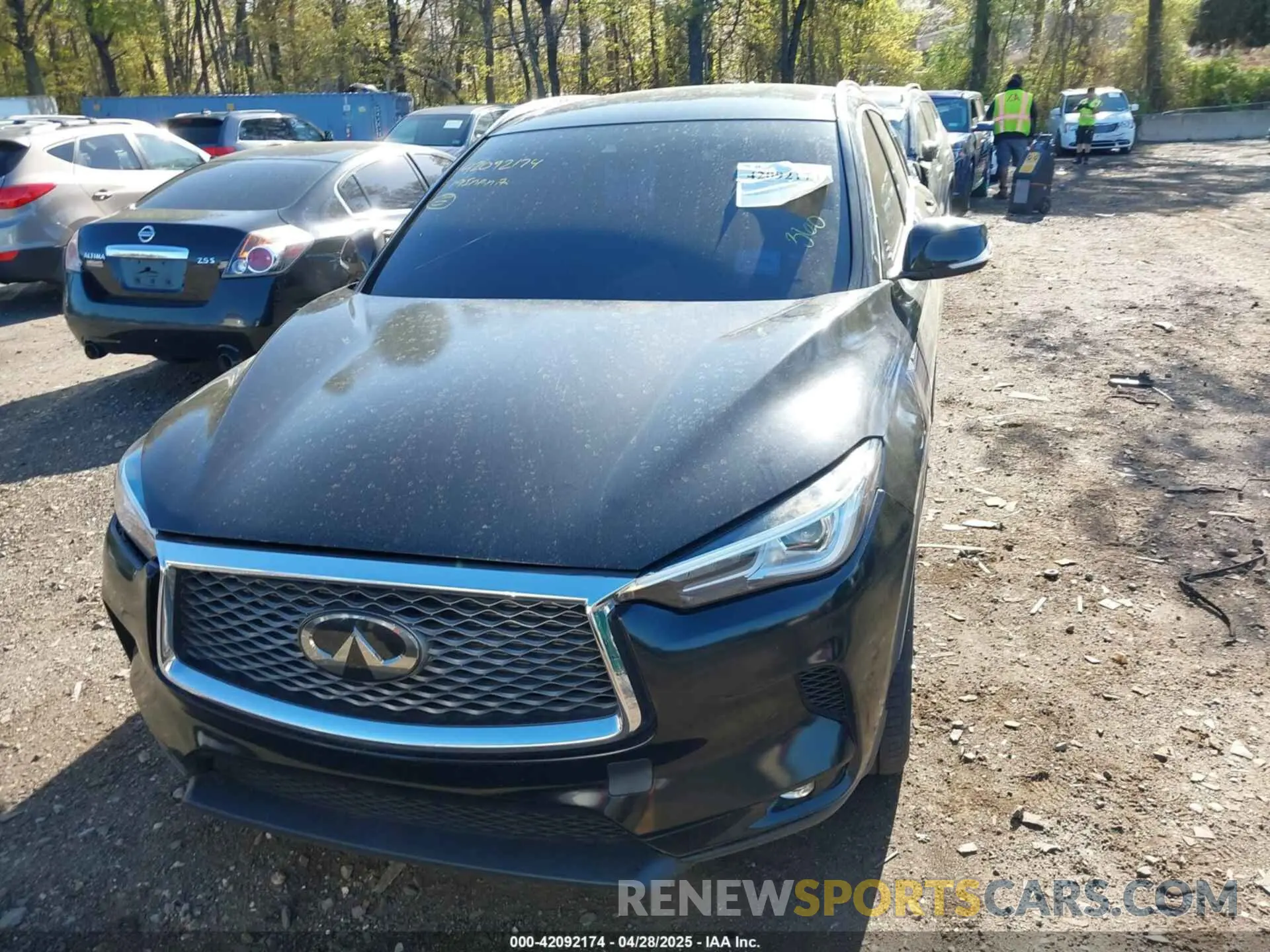 12 Photograph of a damaged car 3PCAJ5M33KF148215 INFINITI QX50 2019