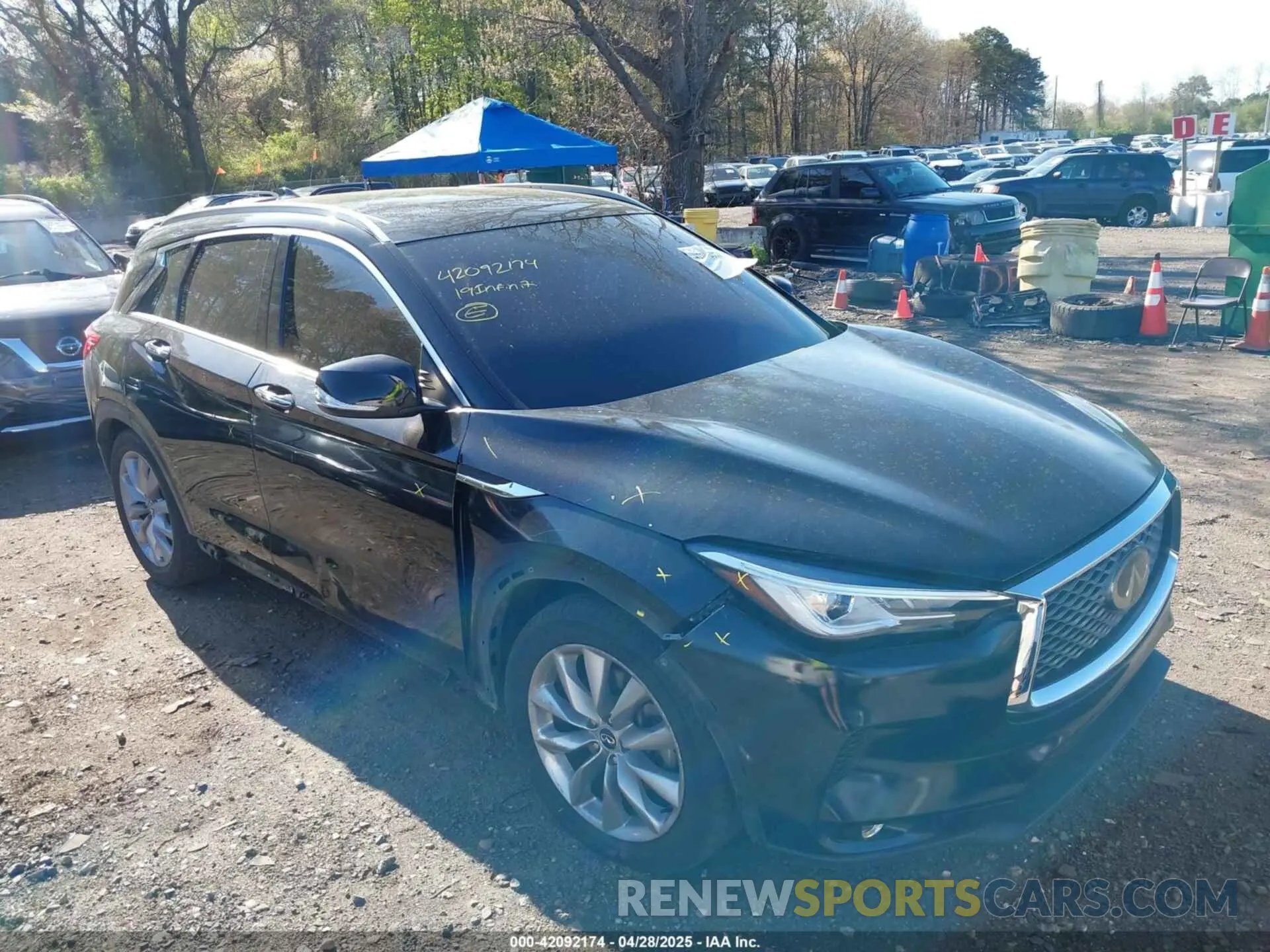 13 Photograph of a damaged car 3PCAJ5M33KF148215 INFINITI QX50 2019