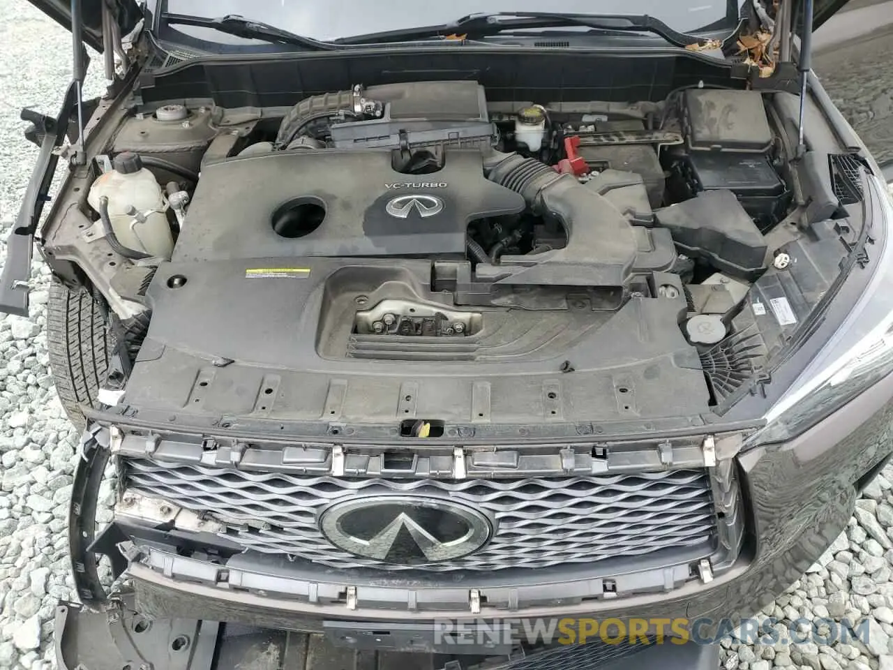 12 Photograph of a damaged car 3PCAJ5M34KF113182 INFINITI QX50 2019
