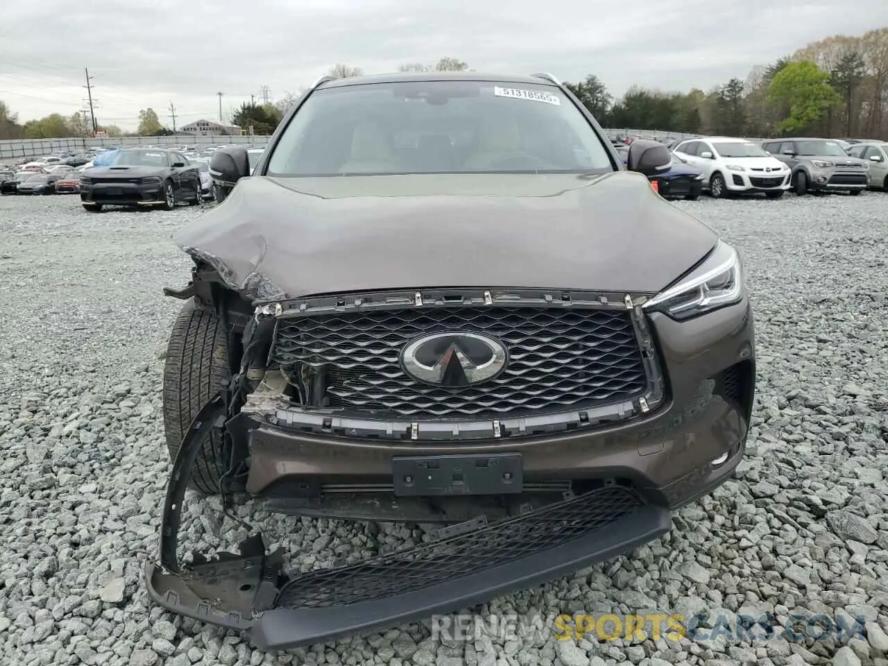 5 Photograph of a damaged car 3PCAJ5M34KF113182 INFINITI QX50 2019