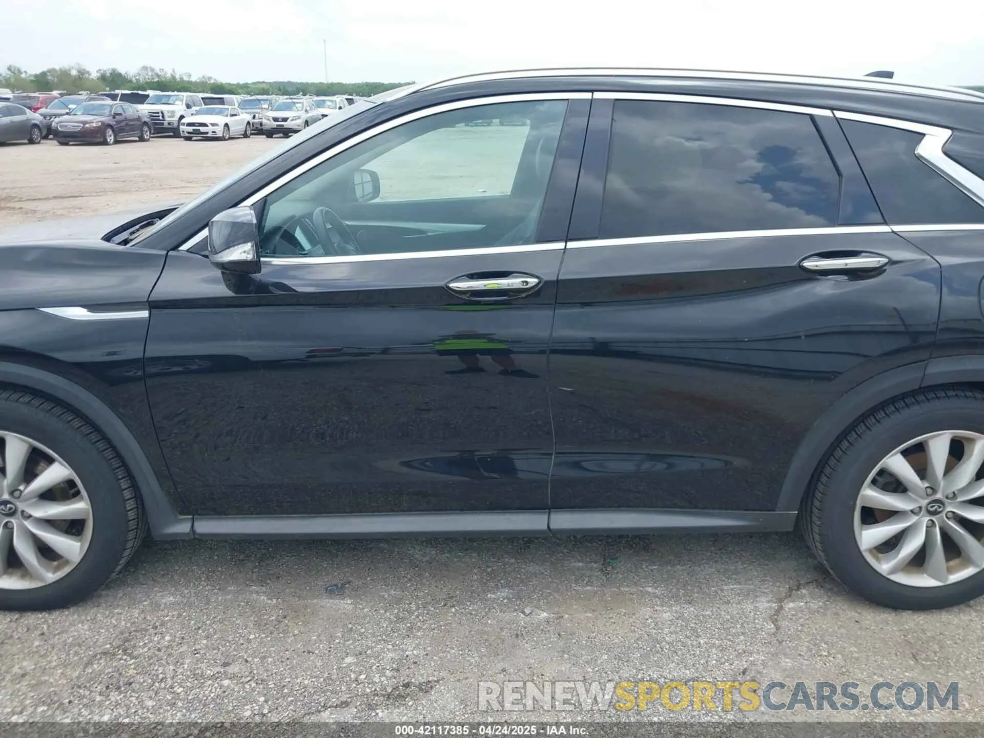 14 Photograph of a damaged car 3PCAJ5M35KF100862 INFINITI QX50 2019