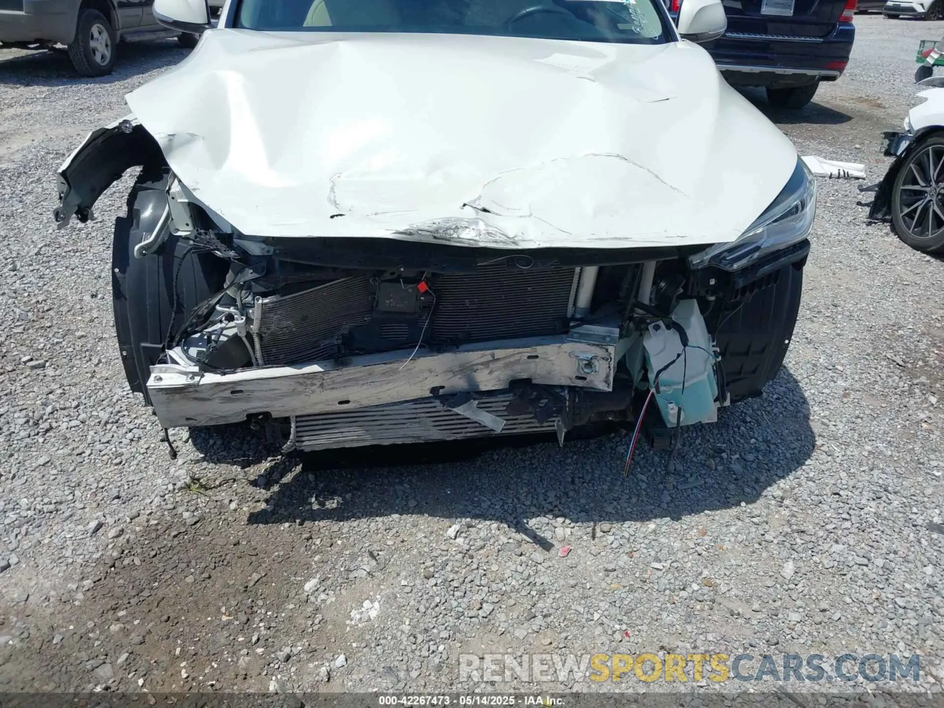 13 Photograph of a damaged car 3PCAJ5M35KF125258 INFINITI QX50 2019