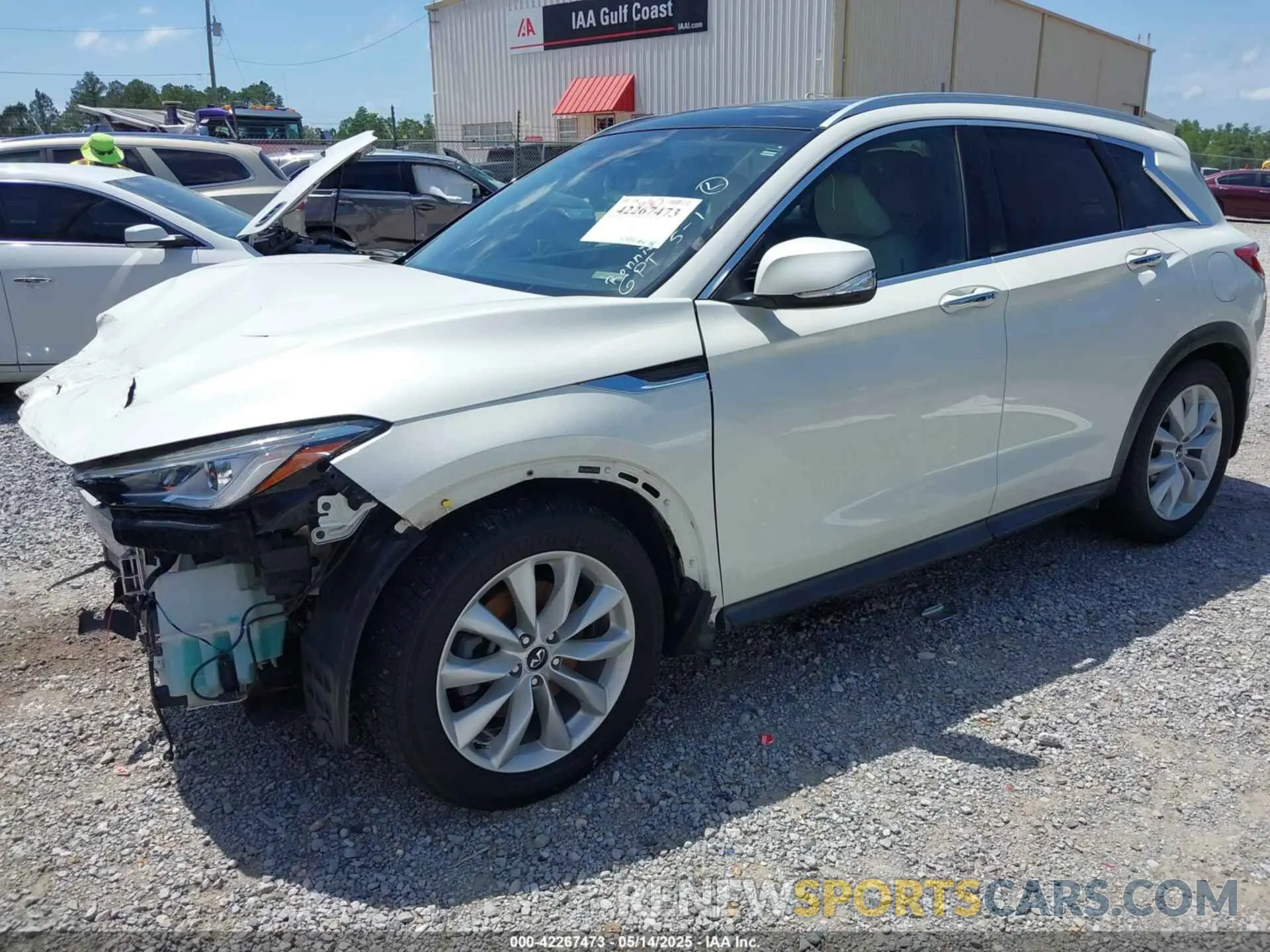 2 Photograph of a damaged car 3PCAJ5M35KF125258 INFINITI QX50 2019