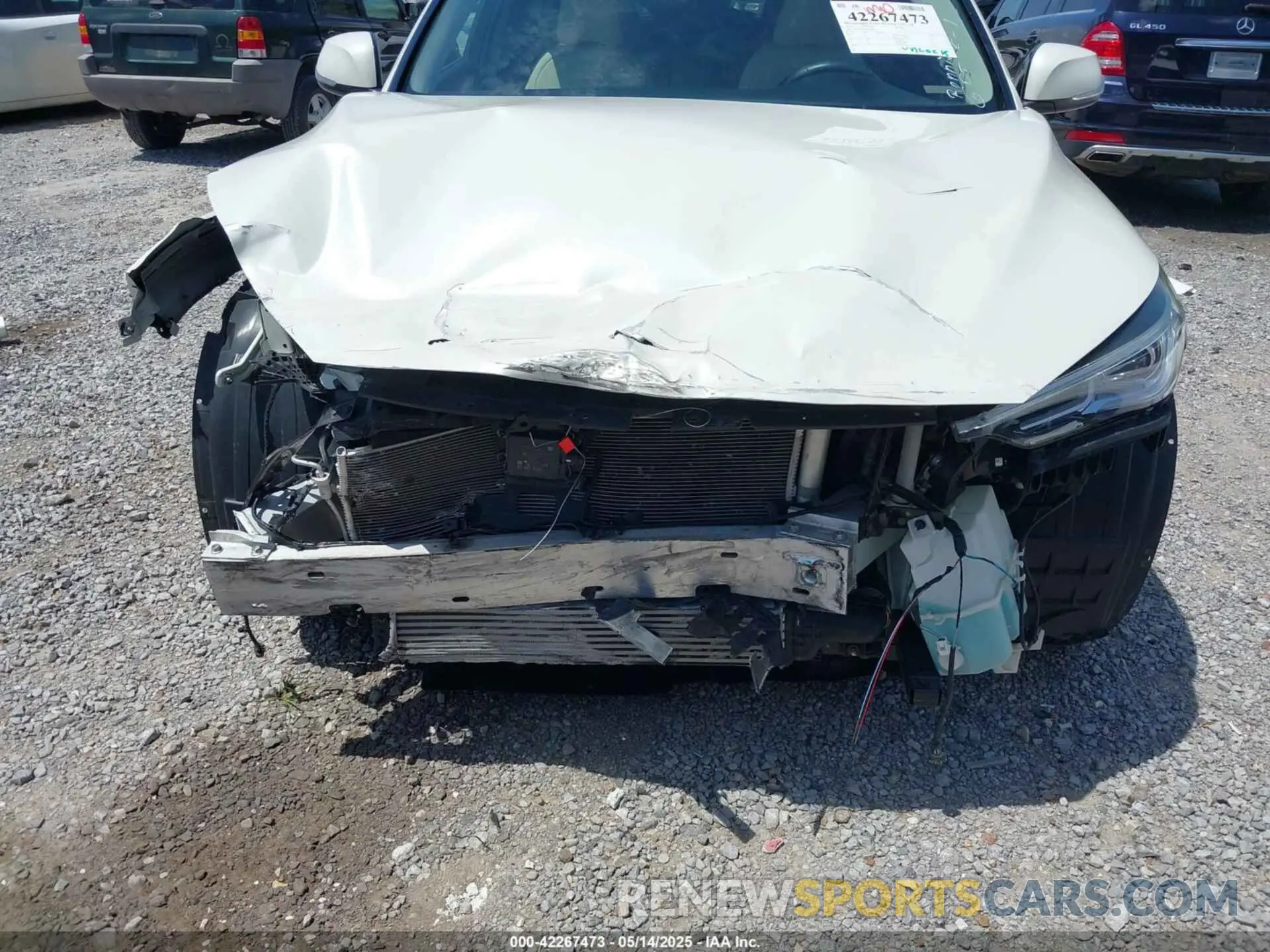 6 Photograph of a damaged car 3PCAJ5M35KF125258 INFINITI QX50 2019