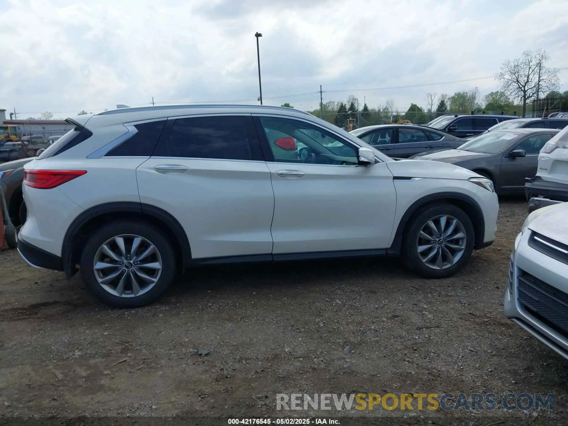 13 Photograph of a damaged car 3PCAJ5M35KF128225 INFINITI QX50 2019
