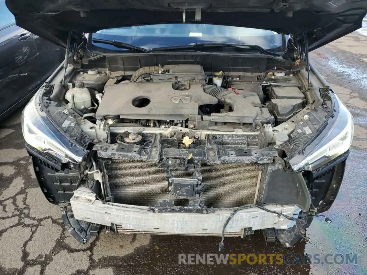 12 Photograph of a damaged car 3PCAJ5M36KF109425 INFINITI QX50 2019