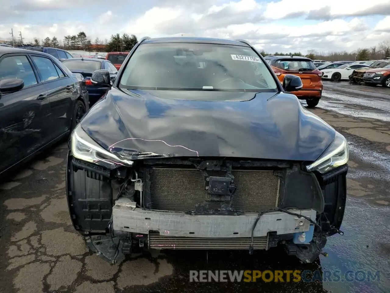 5 Photograph of a damaged car 3PCAJ5M36KF109425 INFINITI QX50 2019
