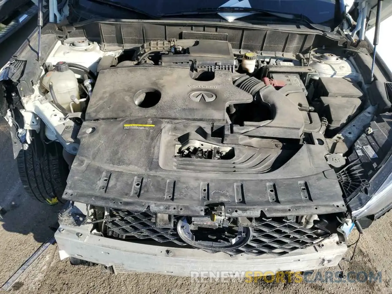 12 Photograph of a damaged car 3PCAJ5M36KF115418 INFINITI QX50 2019