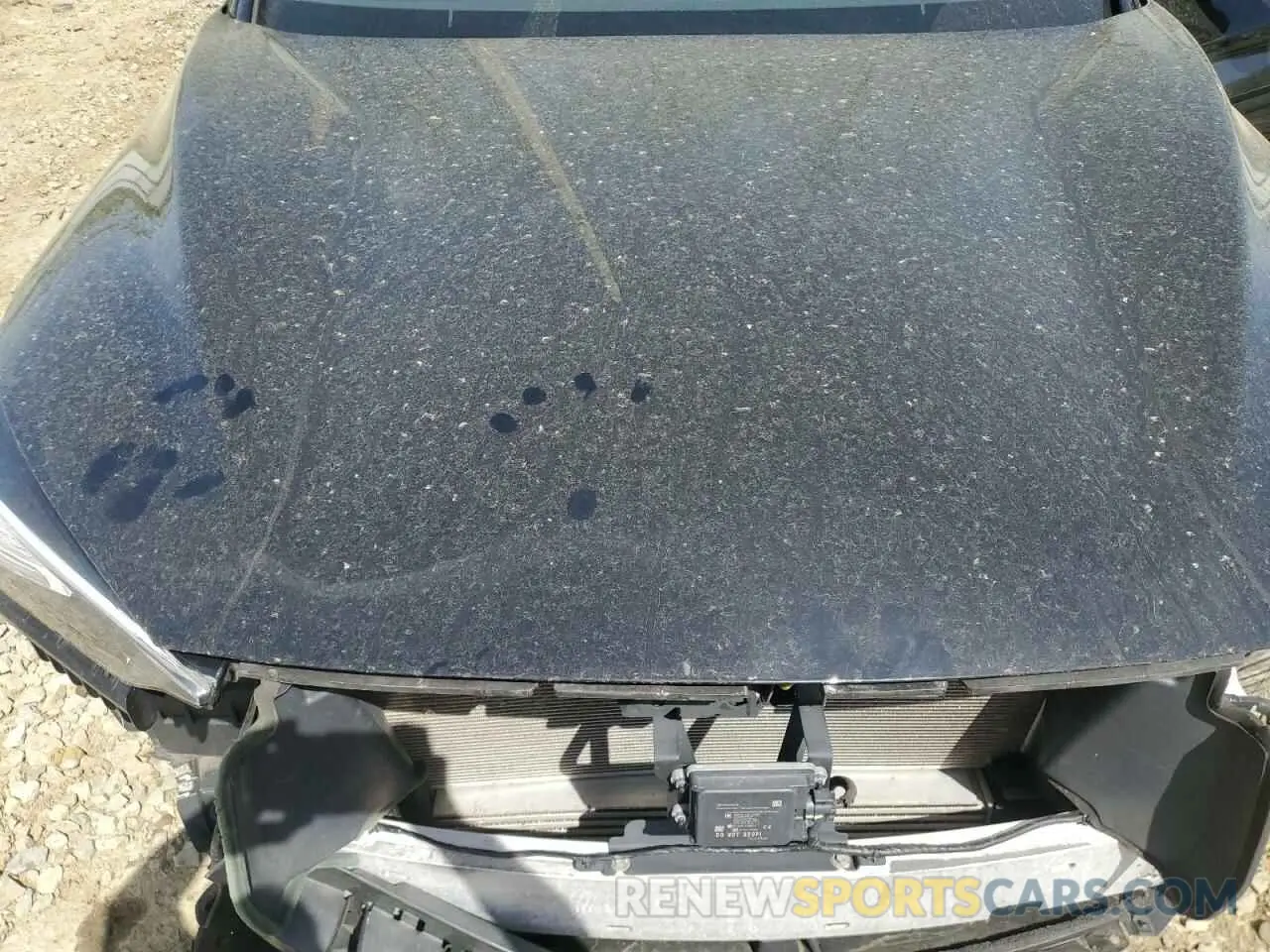 12 Photograph of a damaged car 3PCAJ5M37KF129859 INFINITI QX50 2019