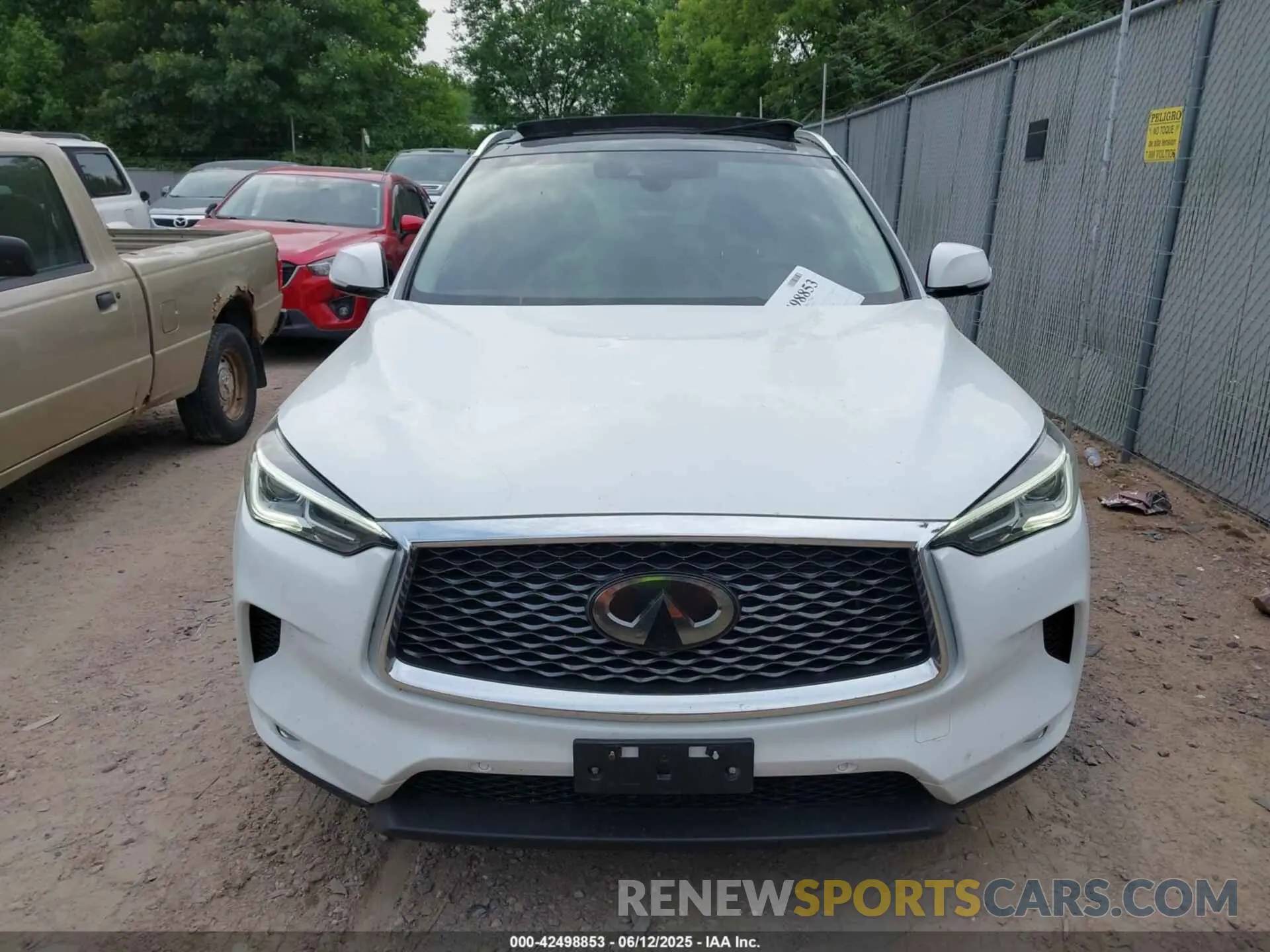 11 Photograph of a damaged car 3PCAJ5M38KF116098 INFINITI QX50 2019