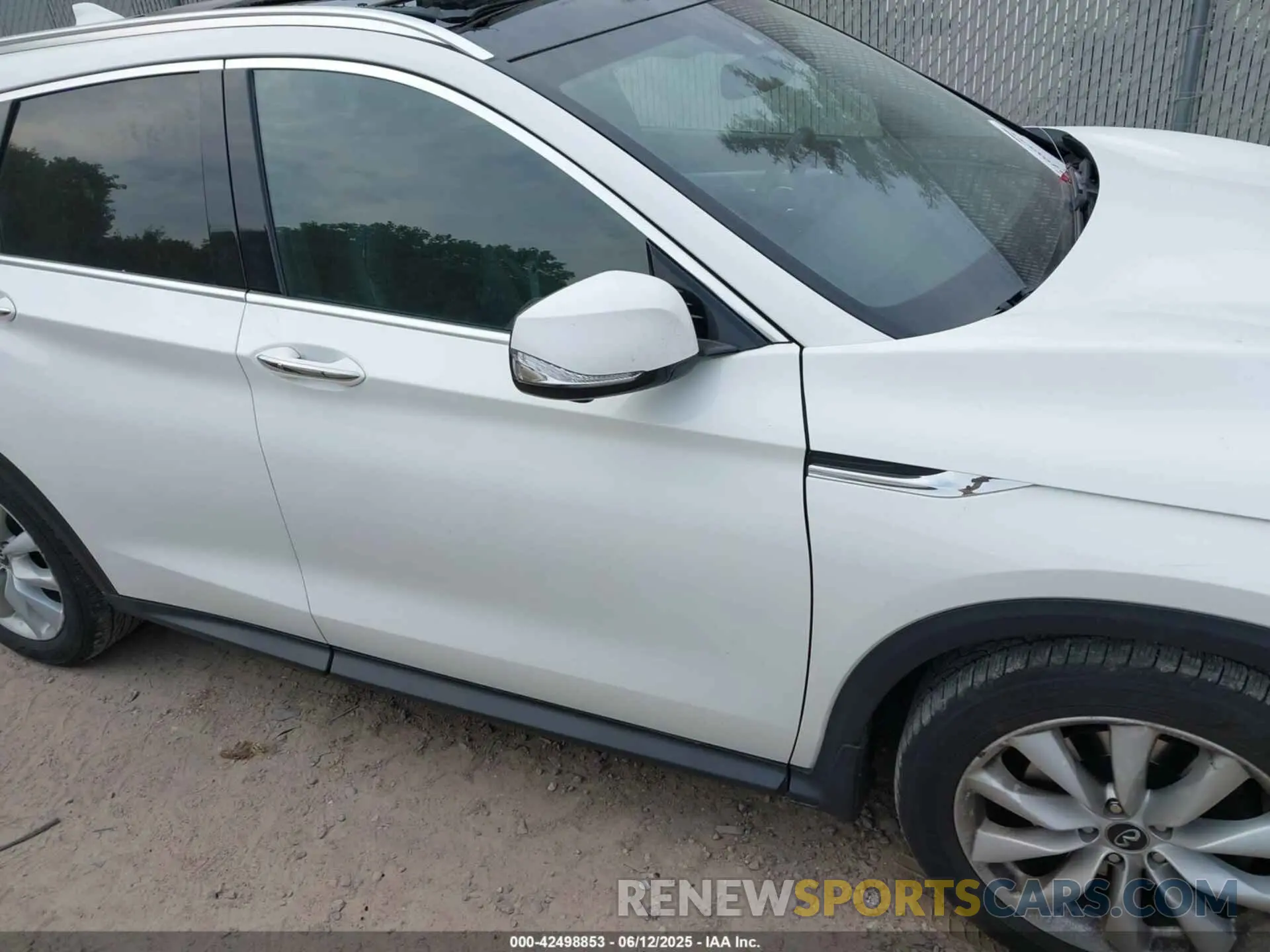 12 Photograph of a damaged car 3PCAJ5M38KF116098 INFINITI QX50 2019
