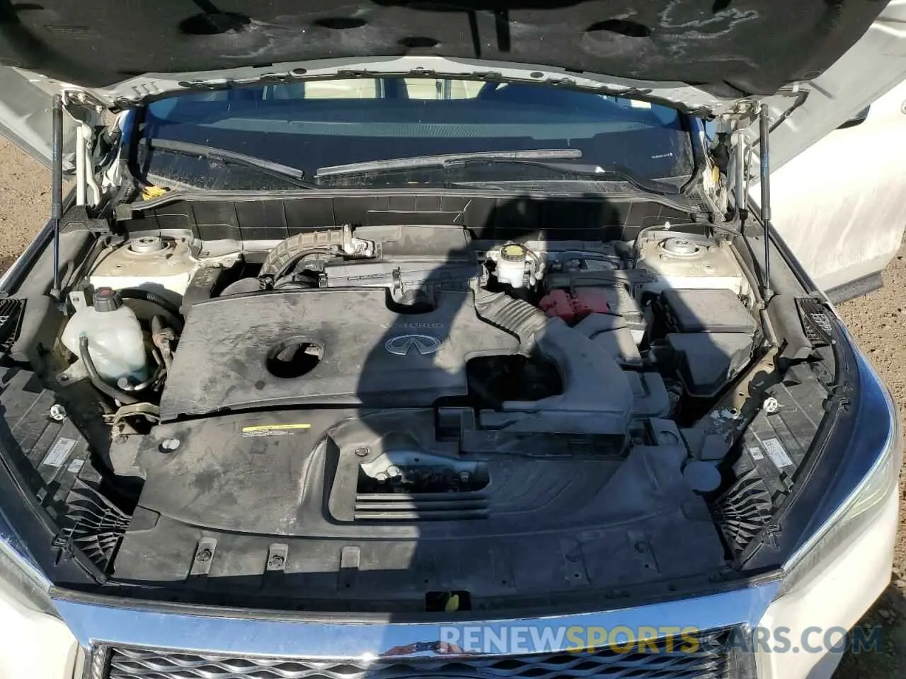 12 Photograph of a damaged car 3PCAJ5M38KF146735 INFINITI QX50 2019