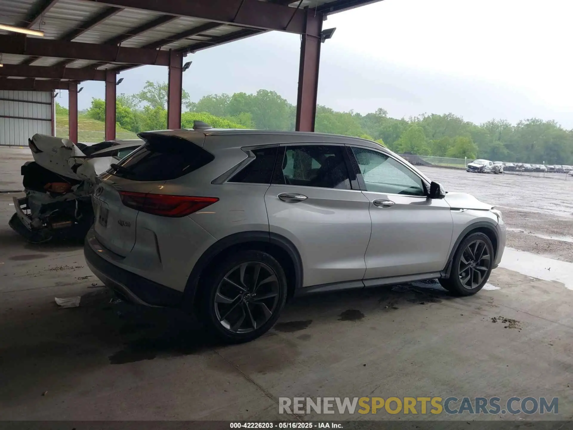 13 Photograph of a damaged car 3PCAJ5M39KF132911 INFINITI QX50 2019
