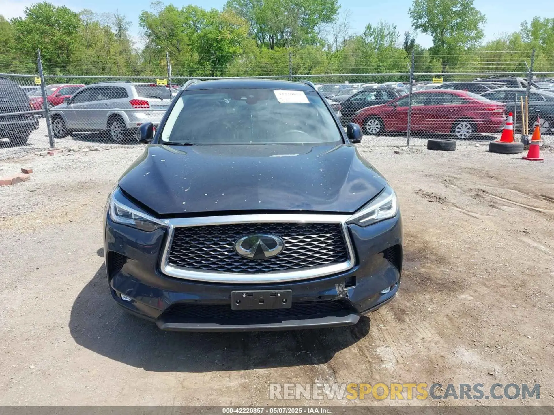 12 Photograph of a damaged car 3PCAJ5M39KF143567 INFINITI QX50 2019