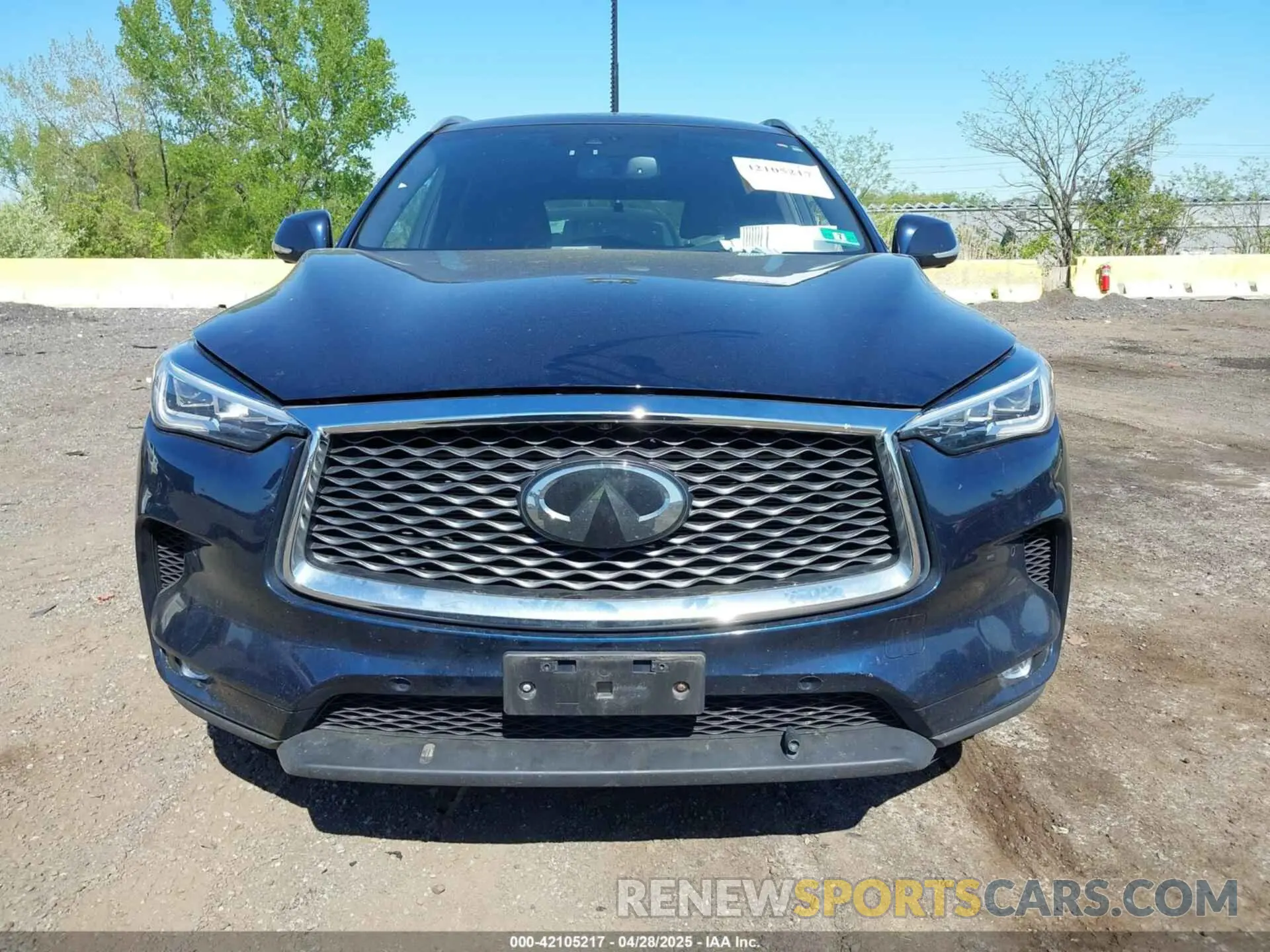 12 Photograph of a damaged car 3PCAJ5M3XKF100419 INFINITI QX50 2019