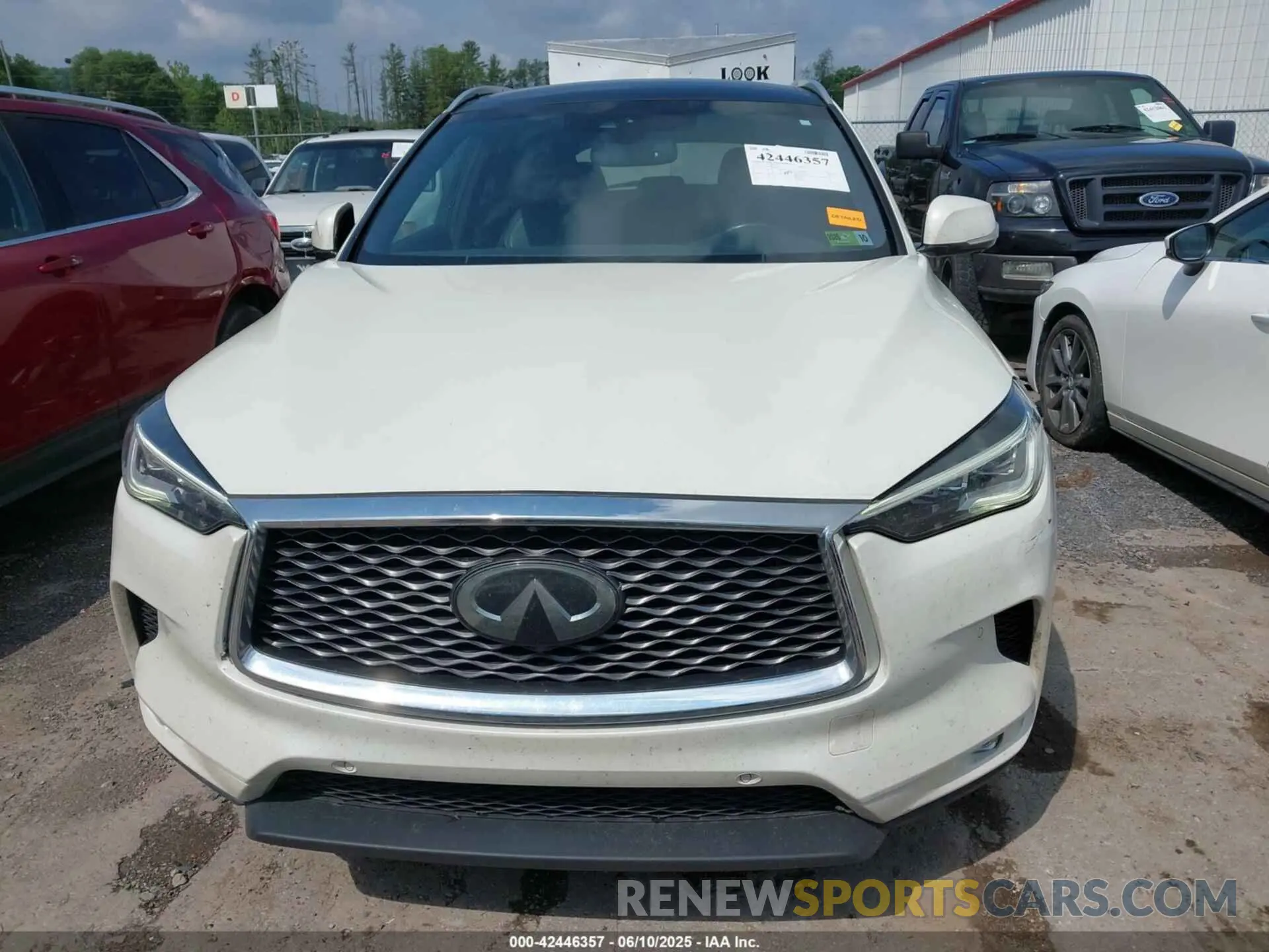 12 Photograph of a damaged car 3PCAJ5M3XKF102963 INFINITI QX50 2019