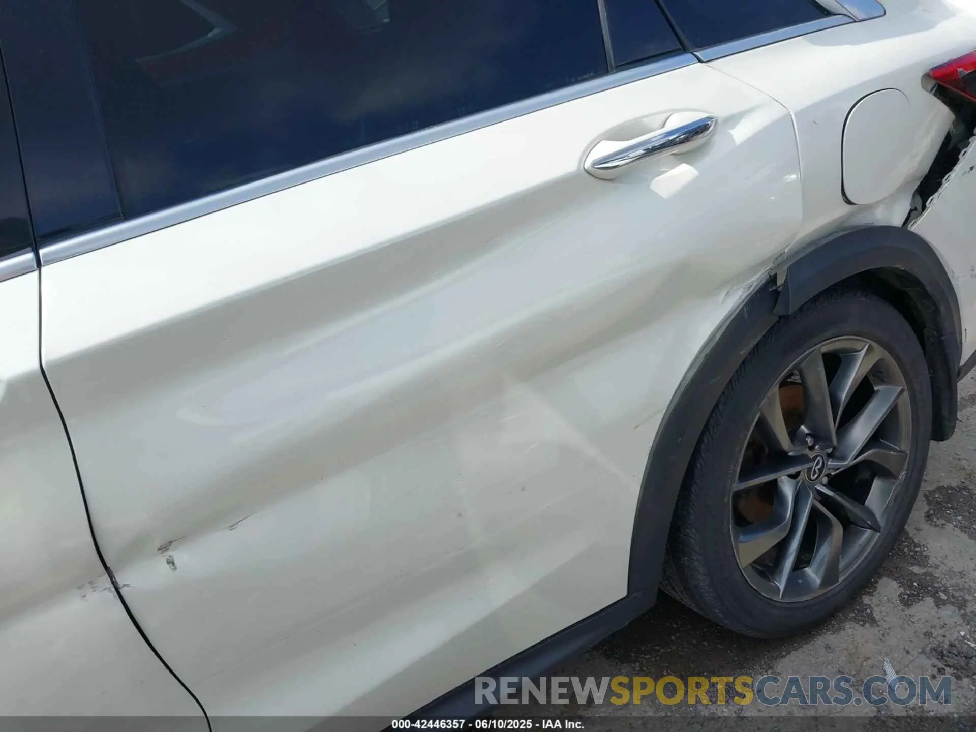 19 Photograph of a damaged car 3PCAJ5M3XKF102963 INFINITI QX50 2019