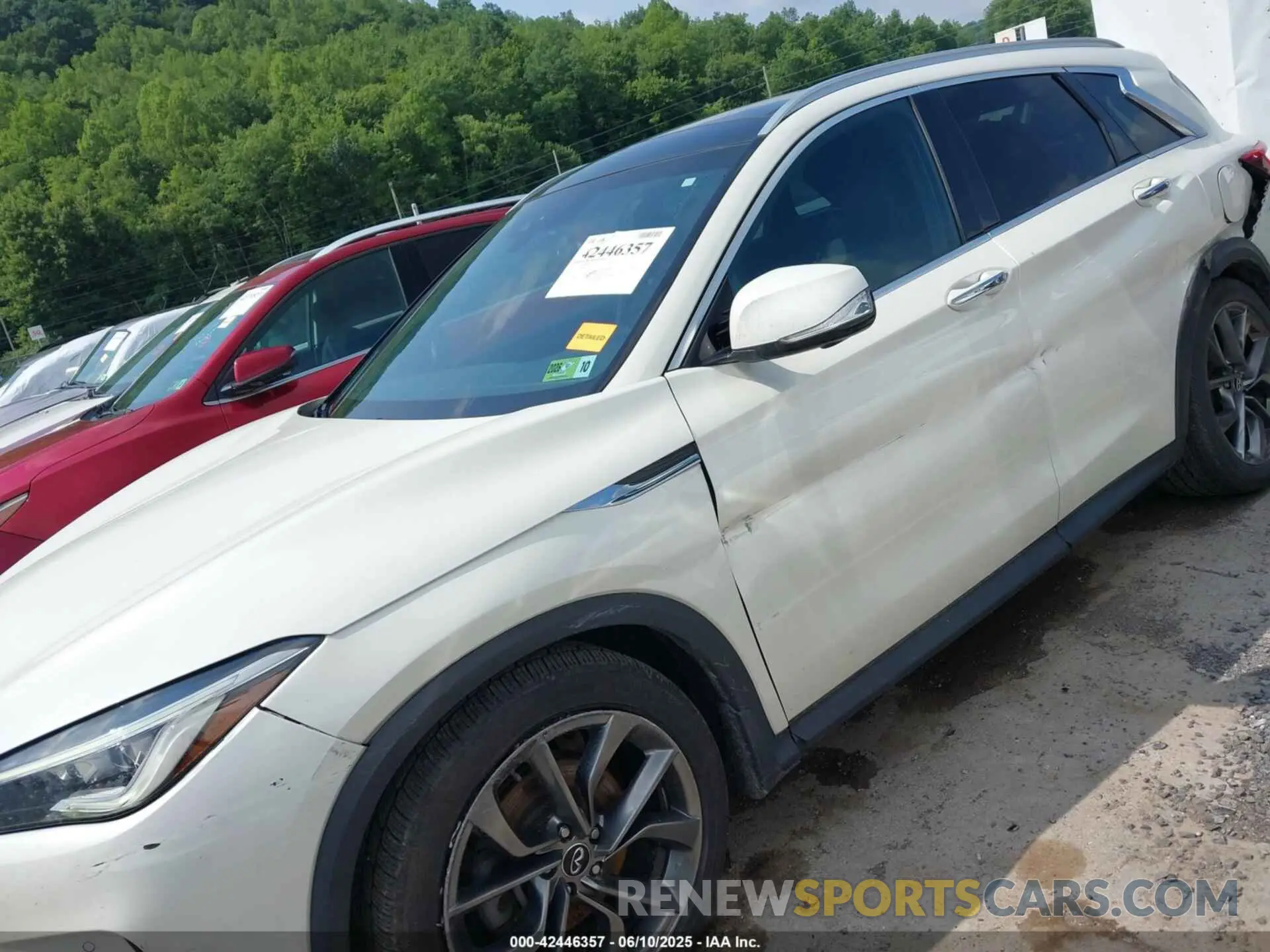 6 Photograph of a damaged car 3PCAJ5M3XKF102963 INFINITI QX50 2019