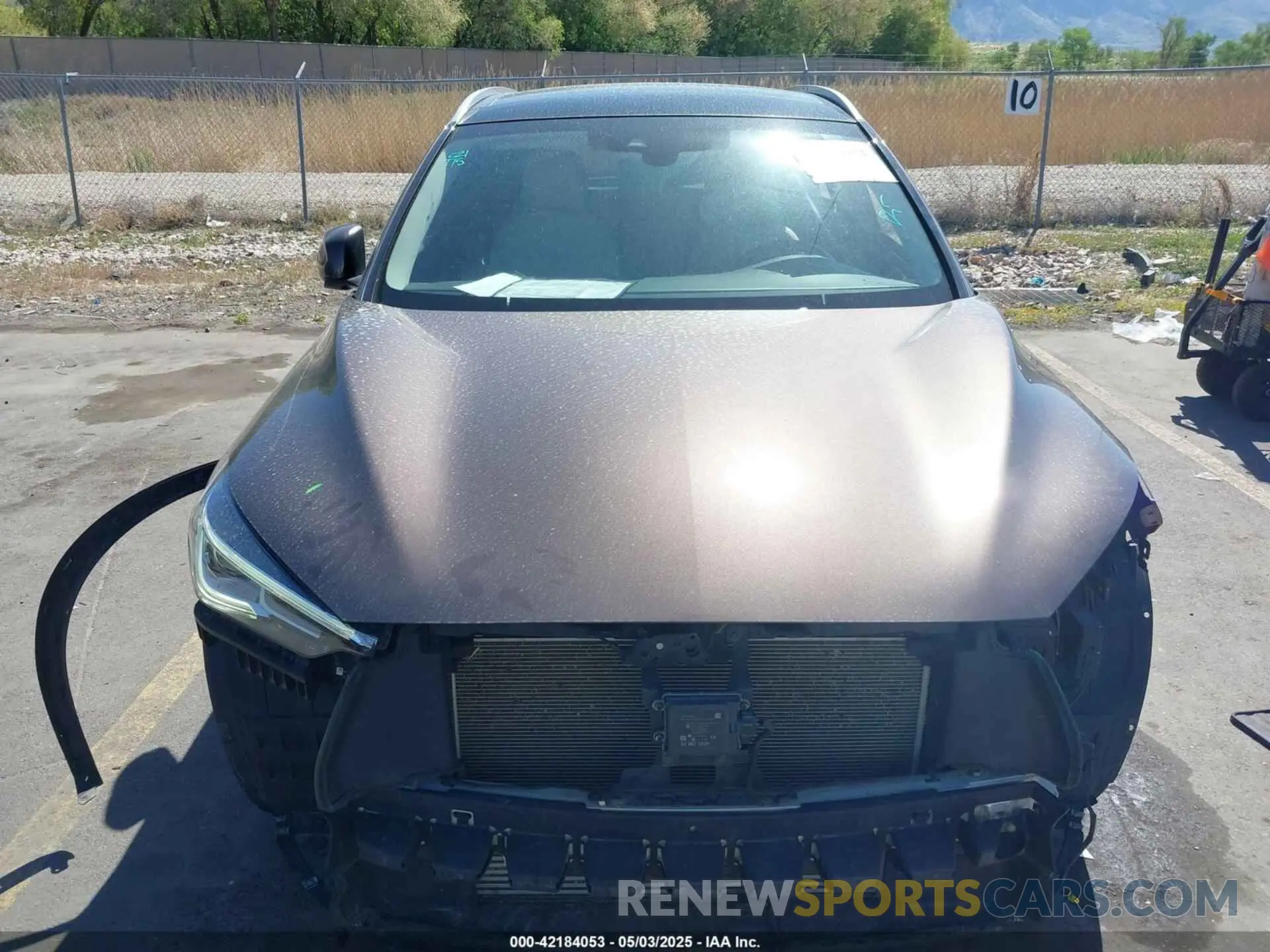 12 Photograph of a damaged car 3PCAJ5M3XKF107256 INFINITI QX50 2019