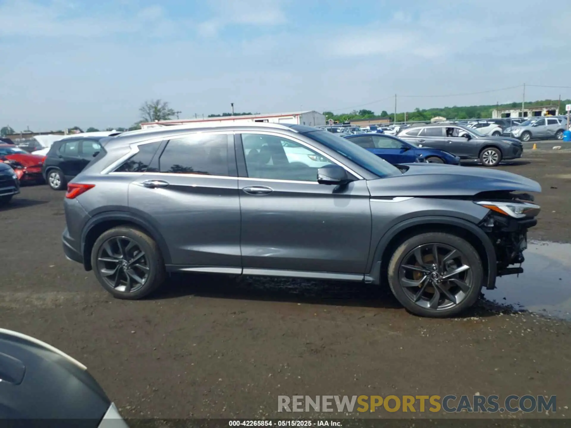 13 Photograph of a damaged car 3PCAJ5M3XKF114787 INFINITI QX50 2019