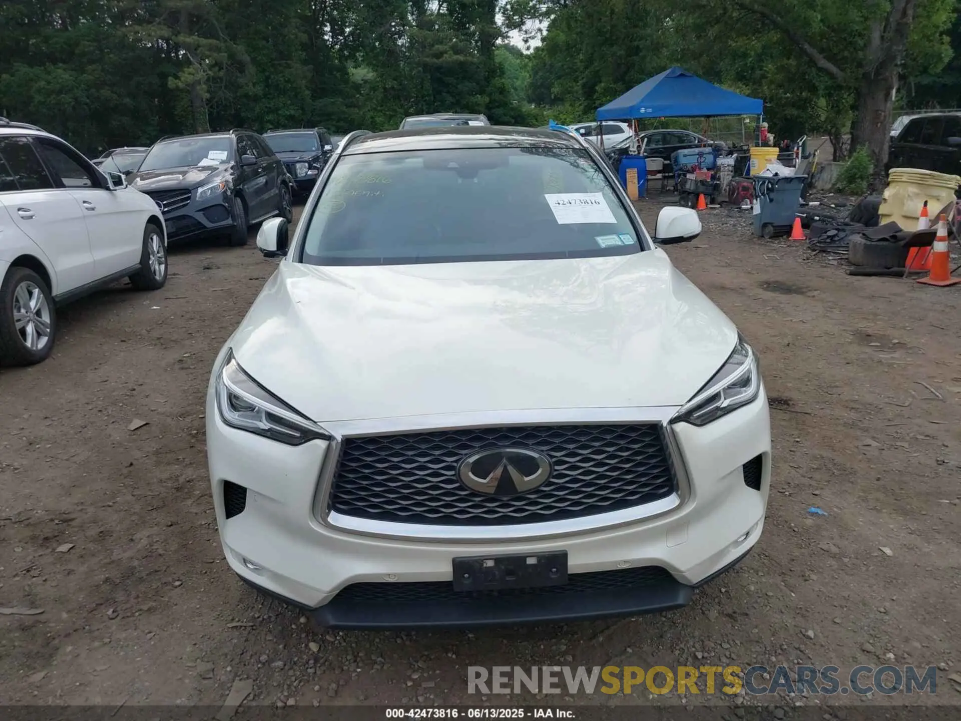 12 Photograph of a damaged car 3PCAJ5M3XKF121741 INFINITI QX50 2019