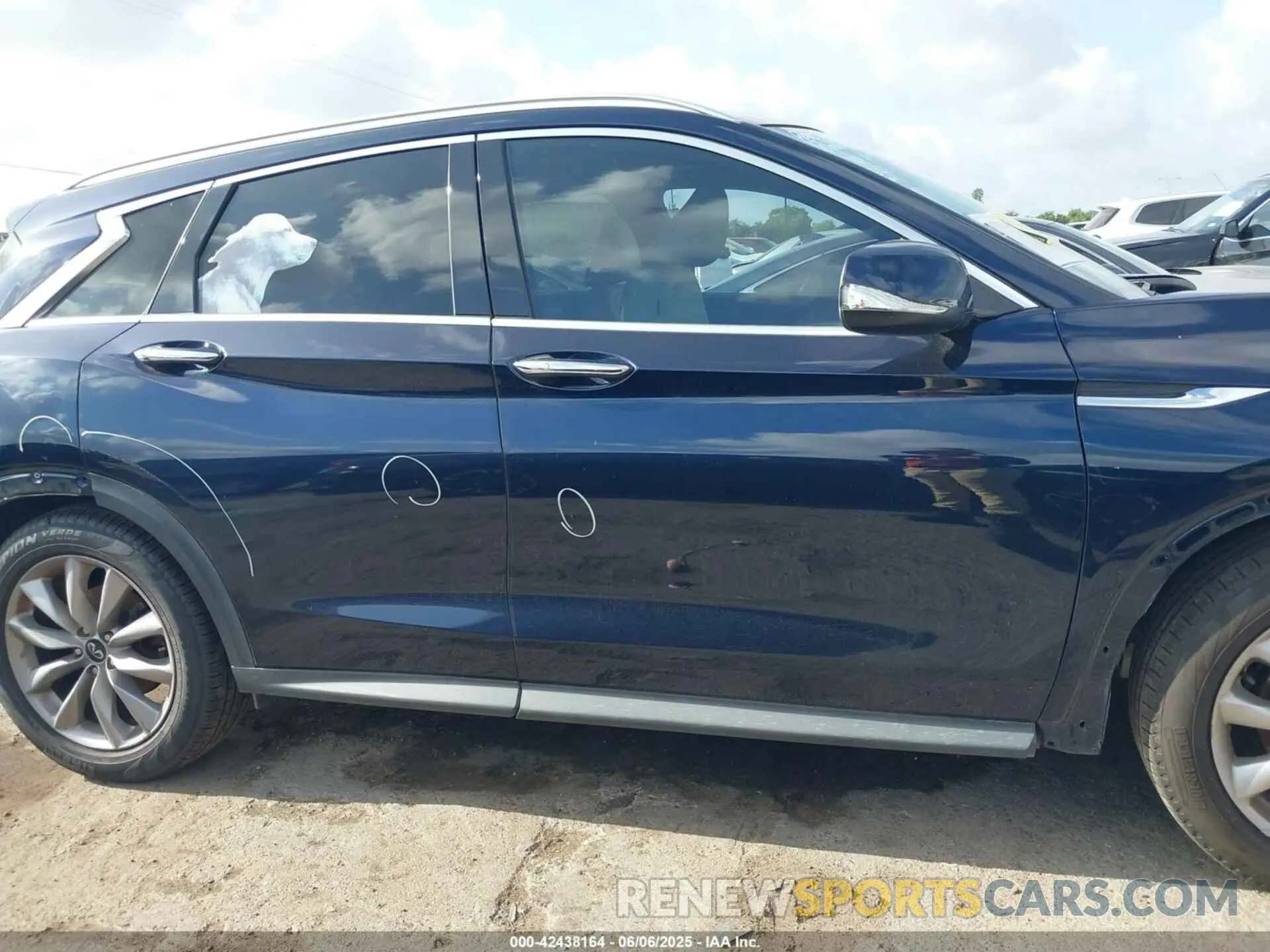 14 Photograph of a damaged car 3PCAJ5M15LF102112 INFINITI QX50 2020