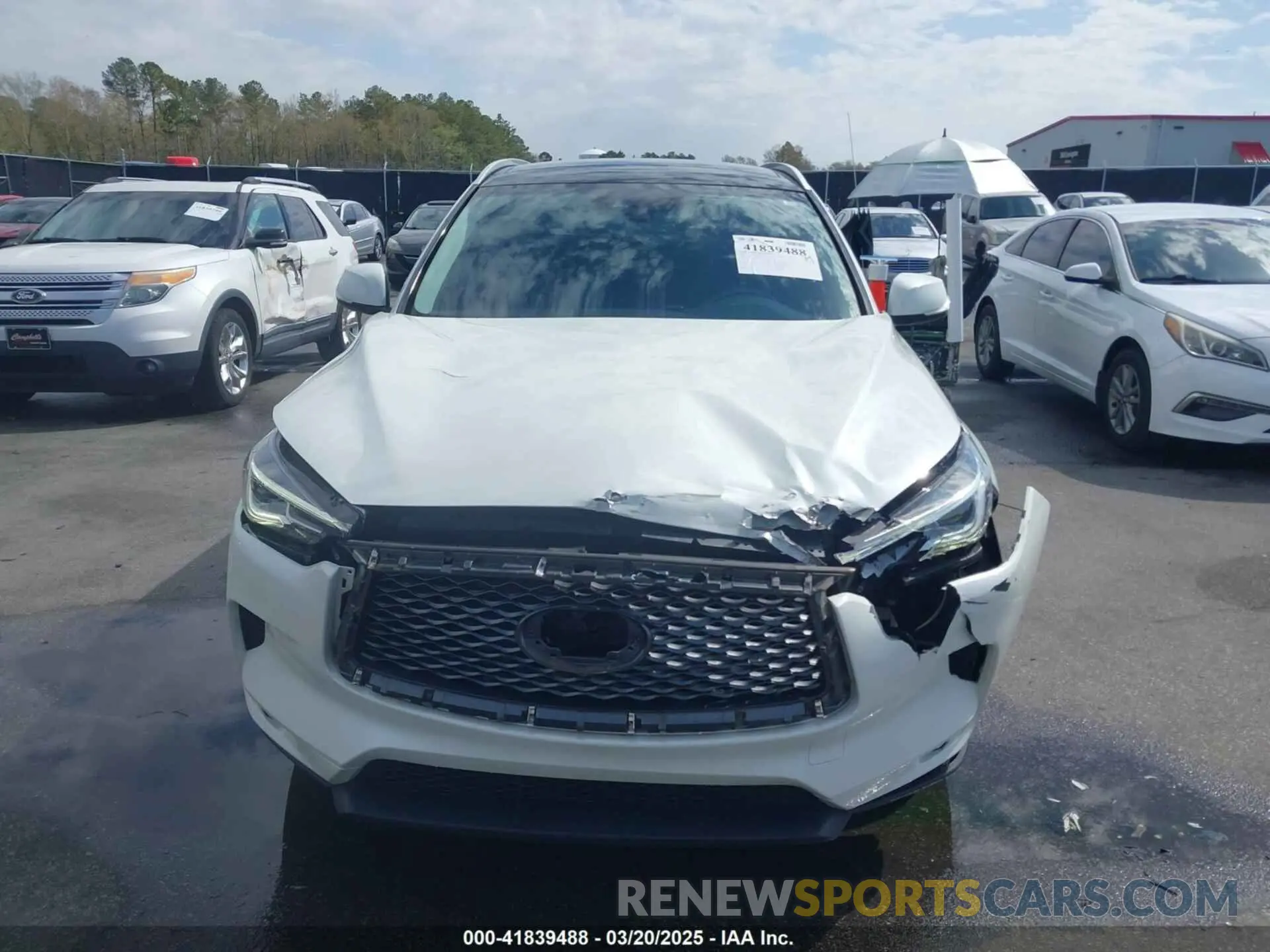 12 Photograph of a damaged car 3PCAJ5M36LF111211 INFINITI QX50 2020