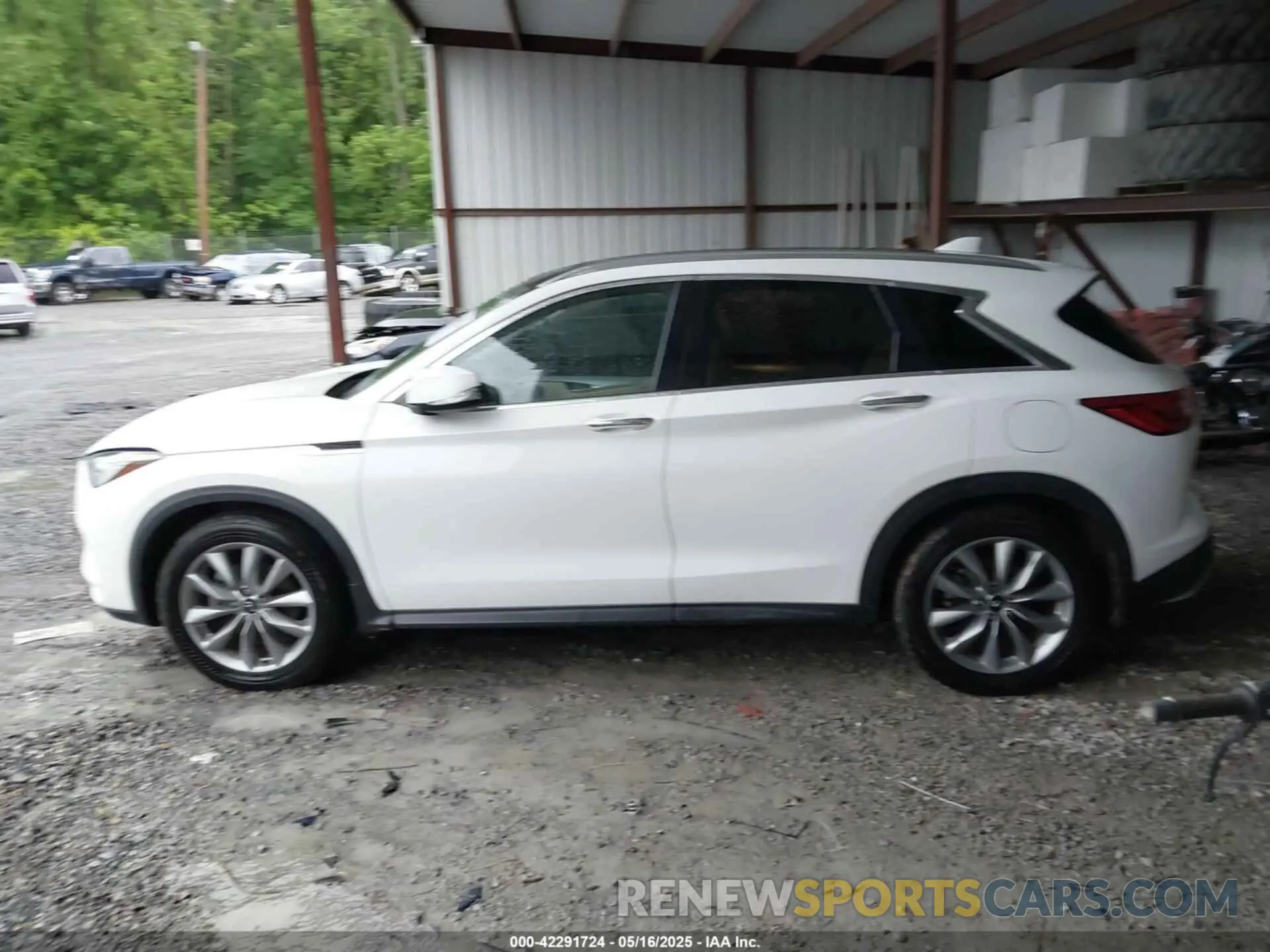 14 Photograph of a damaged car 3PCAJ5M36LF115985 INFINITI QX50 2020