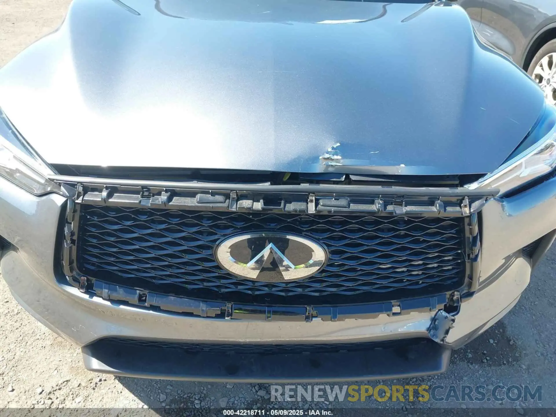 6 Photograph of a damaged car 3PCAJ5BA2MF111323 INFINITI QX50 2021