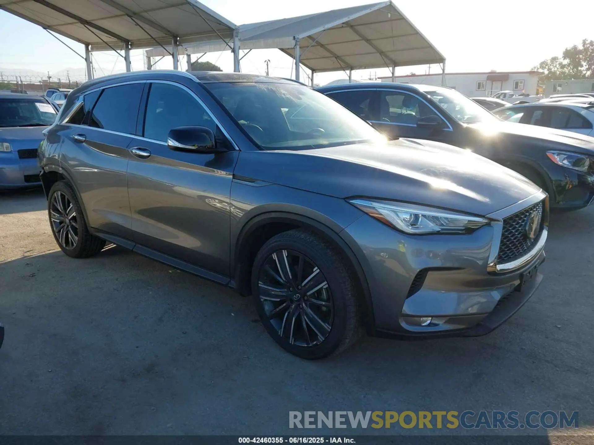 1 Photograph of a damaged car 3PCAJ5BA4MF113543 INFINITI QX50 2021