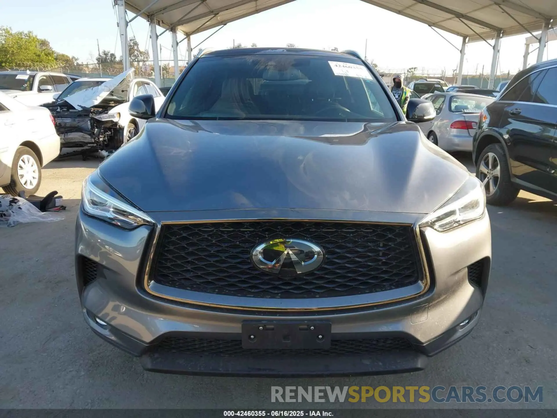 13 Photograph of a damaged car 3PCAJ5BA4MF113543 INFINITI QX50 2021