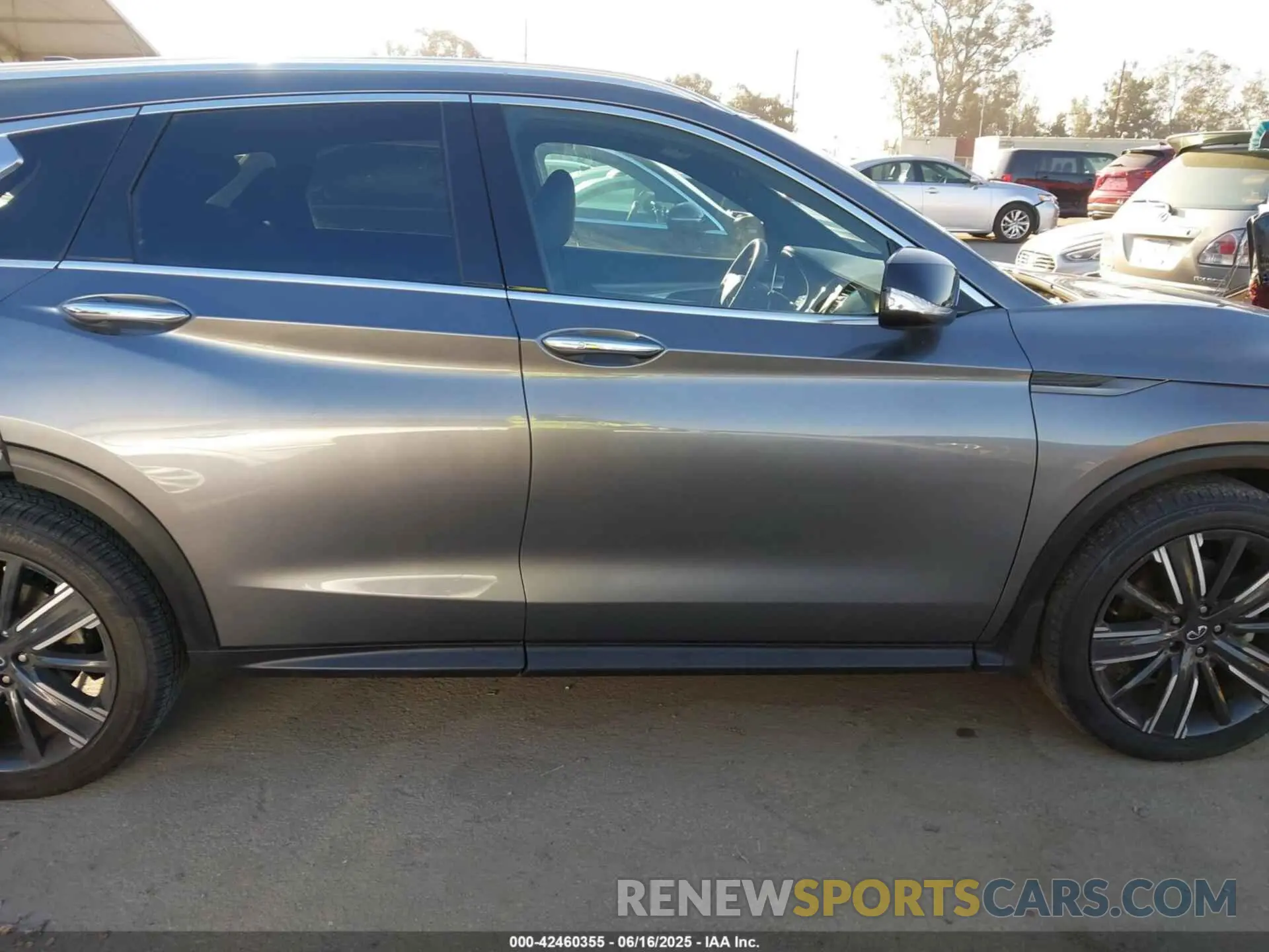14 Photograph of a damaged car 3PCAJ5BA4MF113543 INFINITI QX50 2021