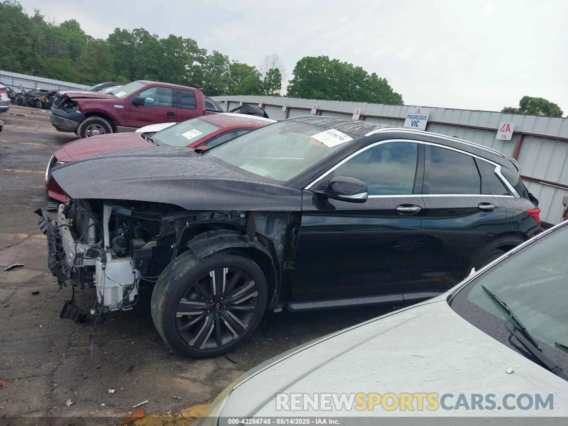13 Photograph of a damaged car 3PCAJ5BAXMF119203 INFINITI QX50 2021