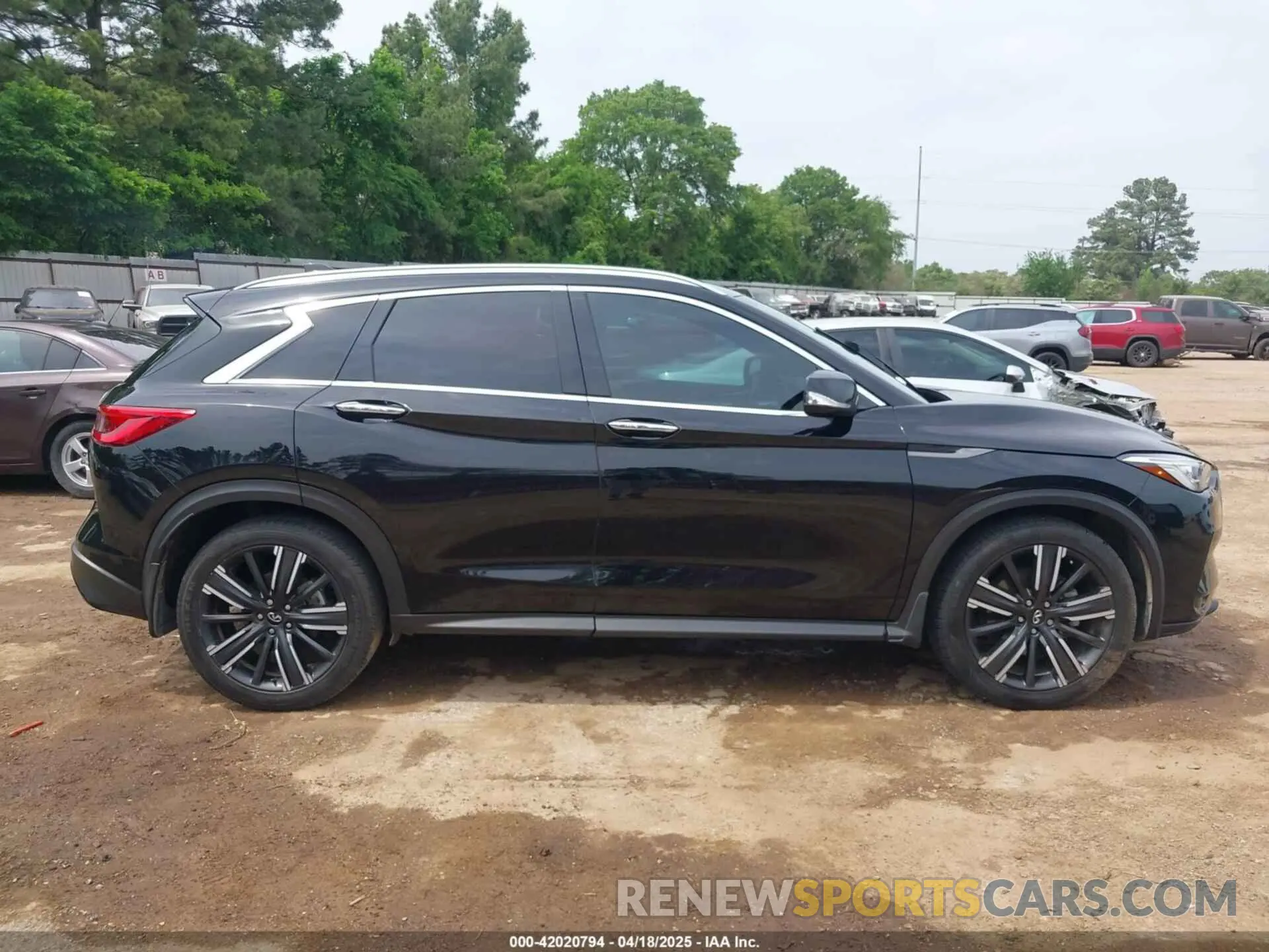 13 Photograph of a damaged car 3PCAJ5BAXMF125311 INFINITI QX50 2021