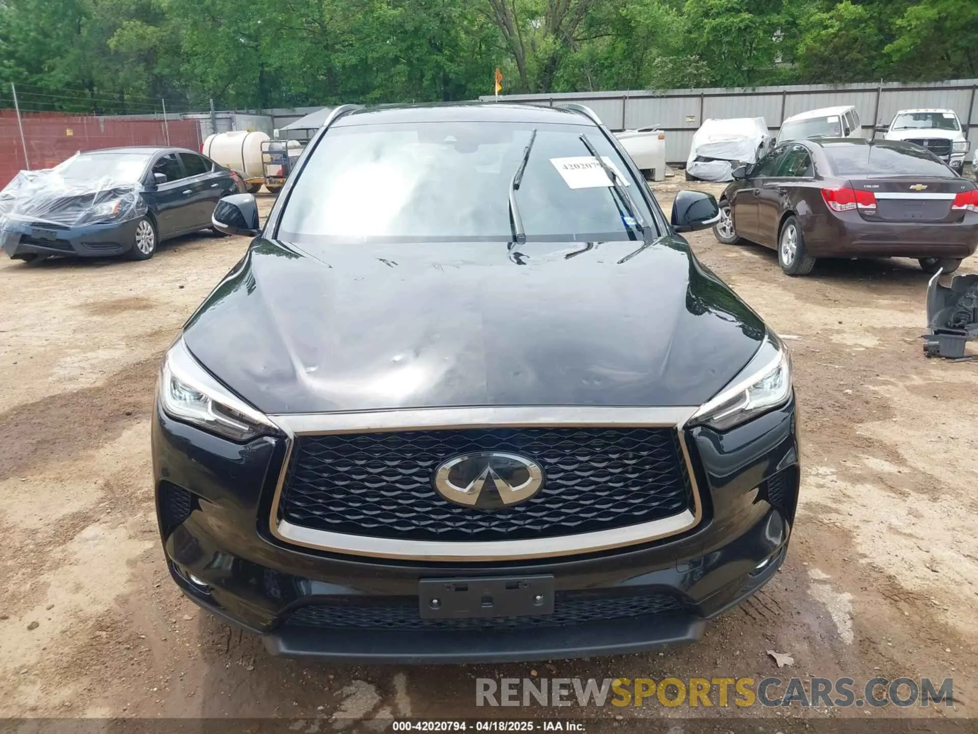 6 Photograph of a damaged car 3PCAJ5BAXMF125311 INFINITI QX50 2021