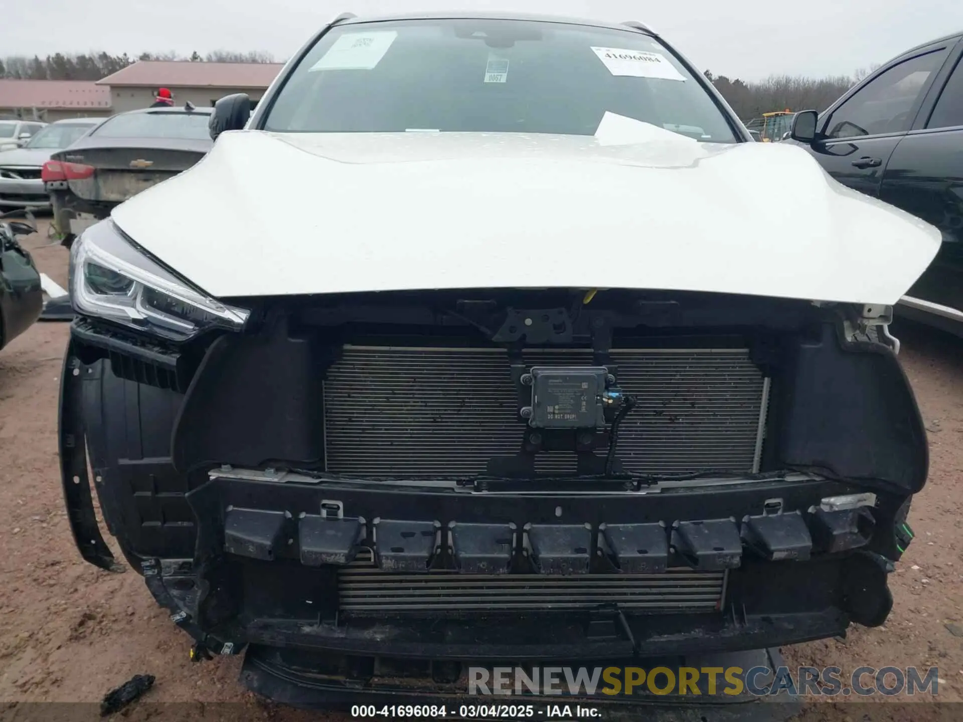 13 Photograph of a damaged car 3PCAJ5BB0MF105478 INFINITI QX50 2021