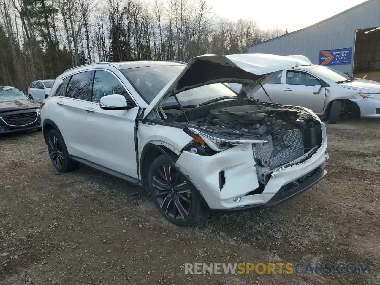 4 Photograph of a damaged car 3PCAJ5BBXMF125026 INFINITI QX50 2021