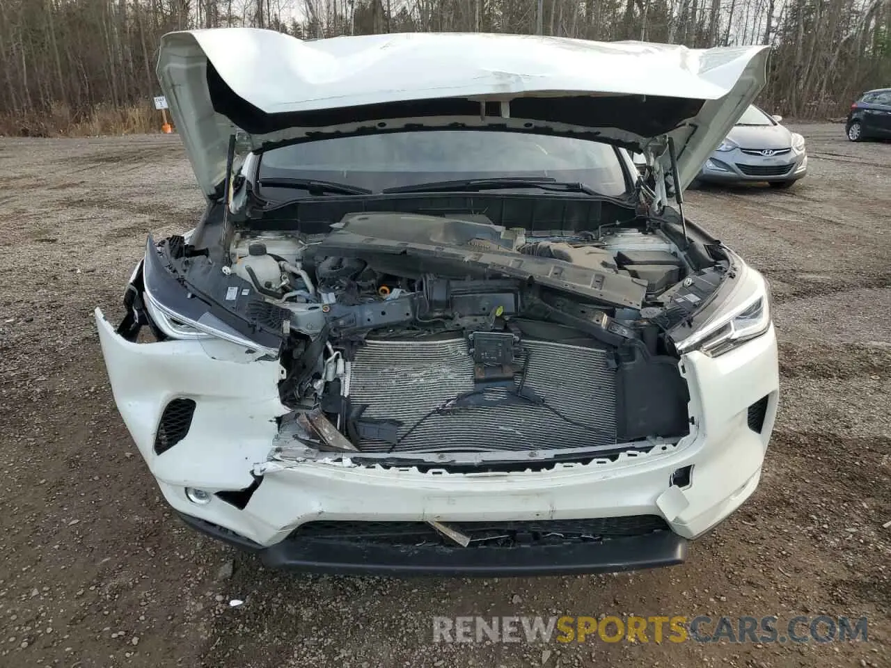 5 Photograph of a damaged car 3PCAJ5BBXMF125026 INFINITI QX50 2021