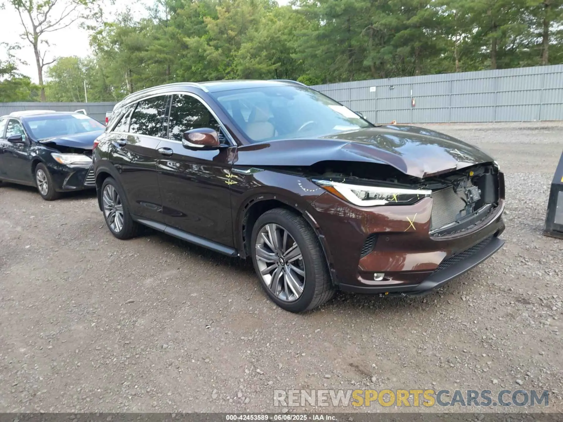 1 Photograph of a damaged car 3PCAJ5CA2MF110669 INFINITI QX50 2021